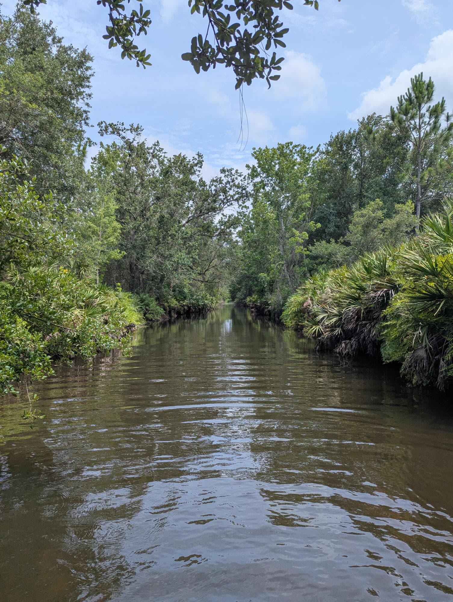 0 Holopaw Groves Road, St. Cloud, FL 34771 — photo 33 of 48