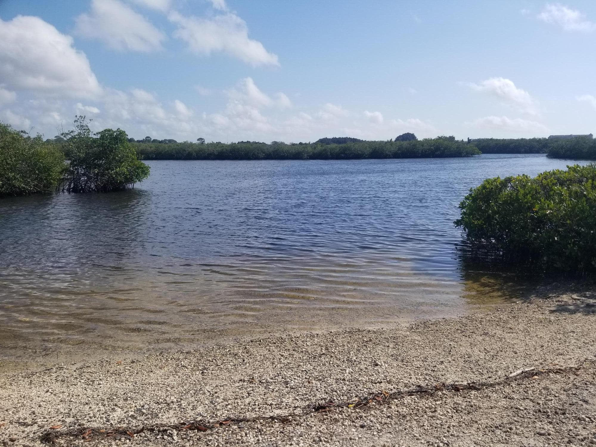 5127 Bay Boulevard, Port Richey, FL 34668 — photo 58 of 63