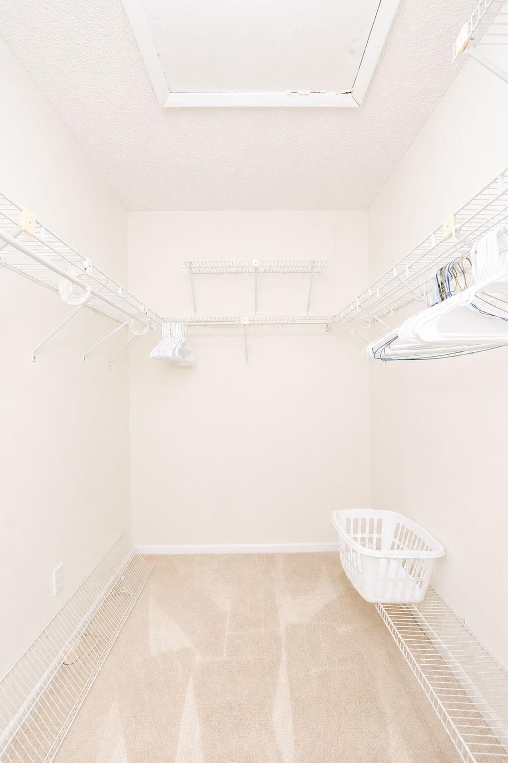 9310 SW 23rd Street 4003, Davie, FL 33324 — photo 28 of 47