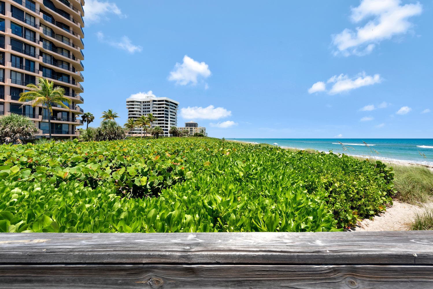 530 Ocean Drive 202, Juno Beach, FL 33408 — photo 1 of 24