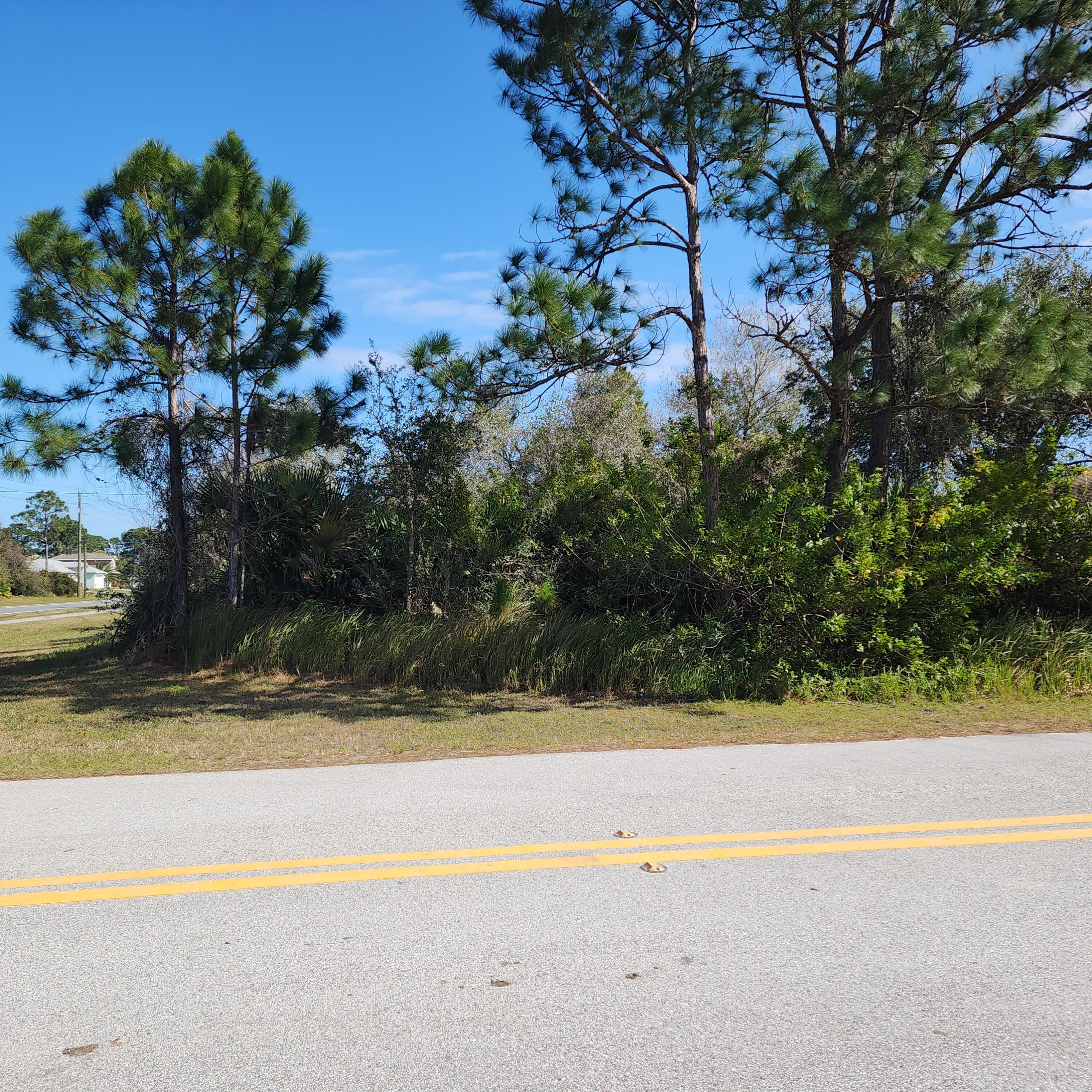 Xxx Tilden Road SE, Palm Bay, FL 32909 — photo 3 of 4