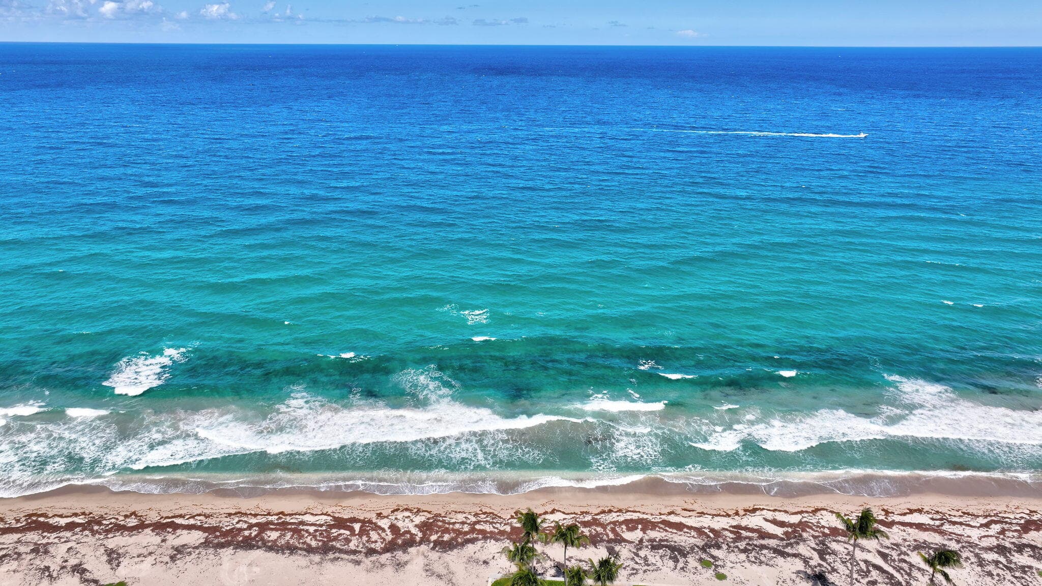 217 Plantation Road, Palm Beach, FL 33480 — photo 34 of 41