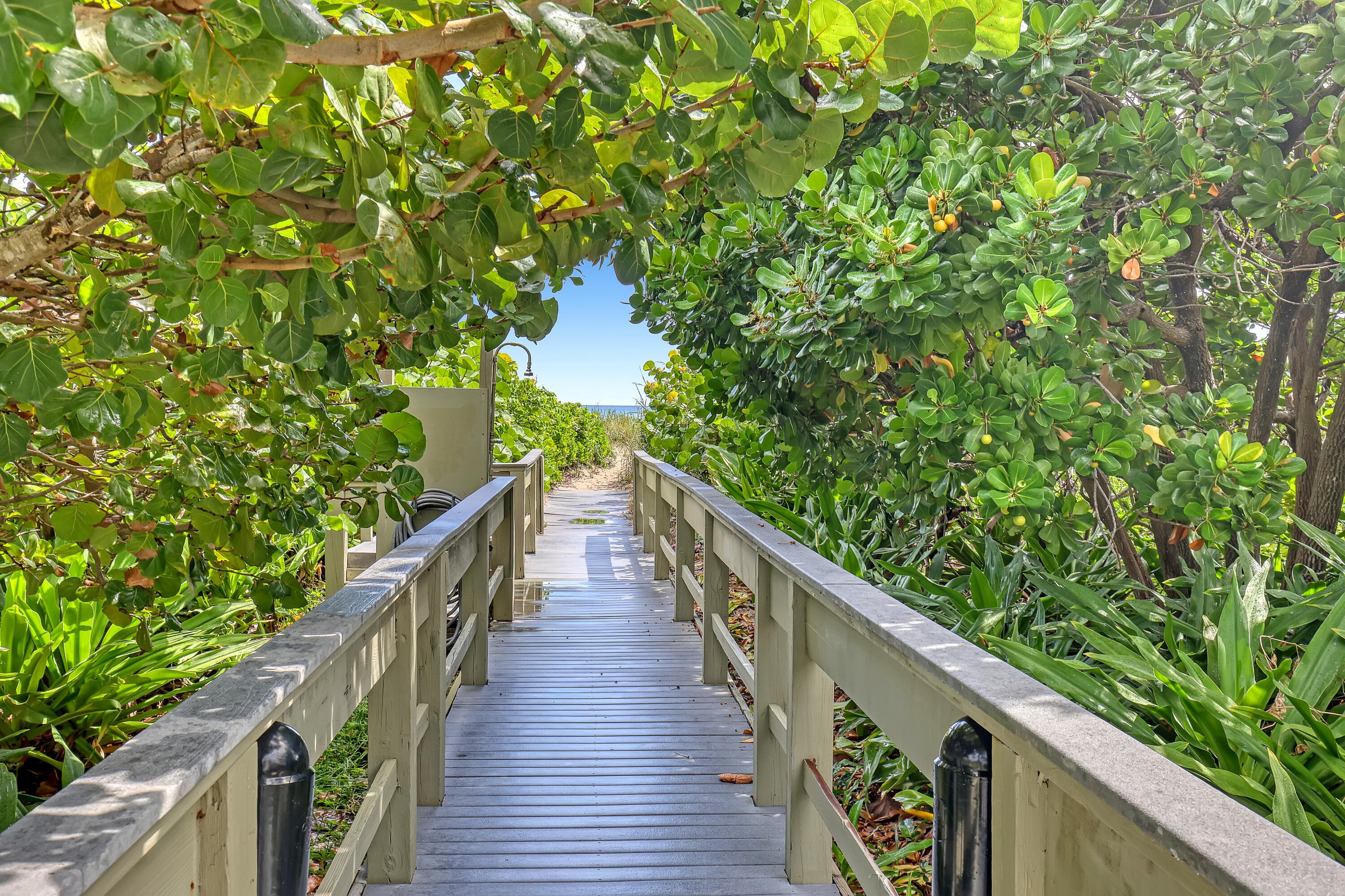 3400 N Ocean Drive 101, Singer Island, FL 33404 — photo 33 of 35