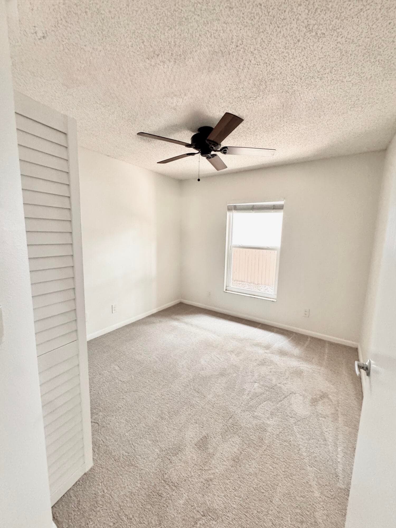 1914 Bayshore Court, Safety Harbor, FL 34695 — photo 19 of 23
