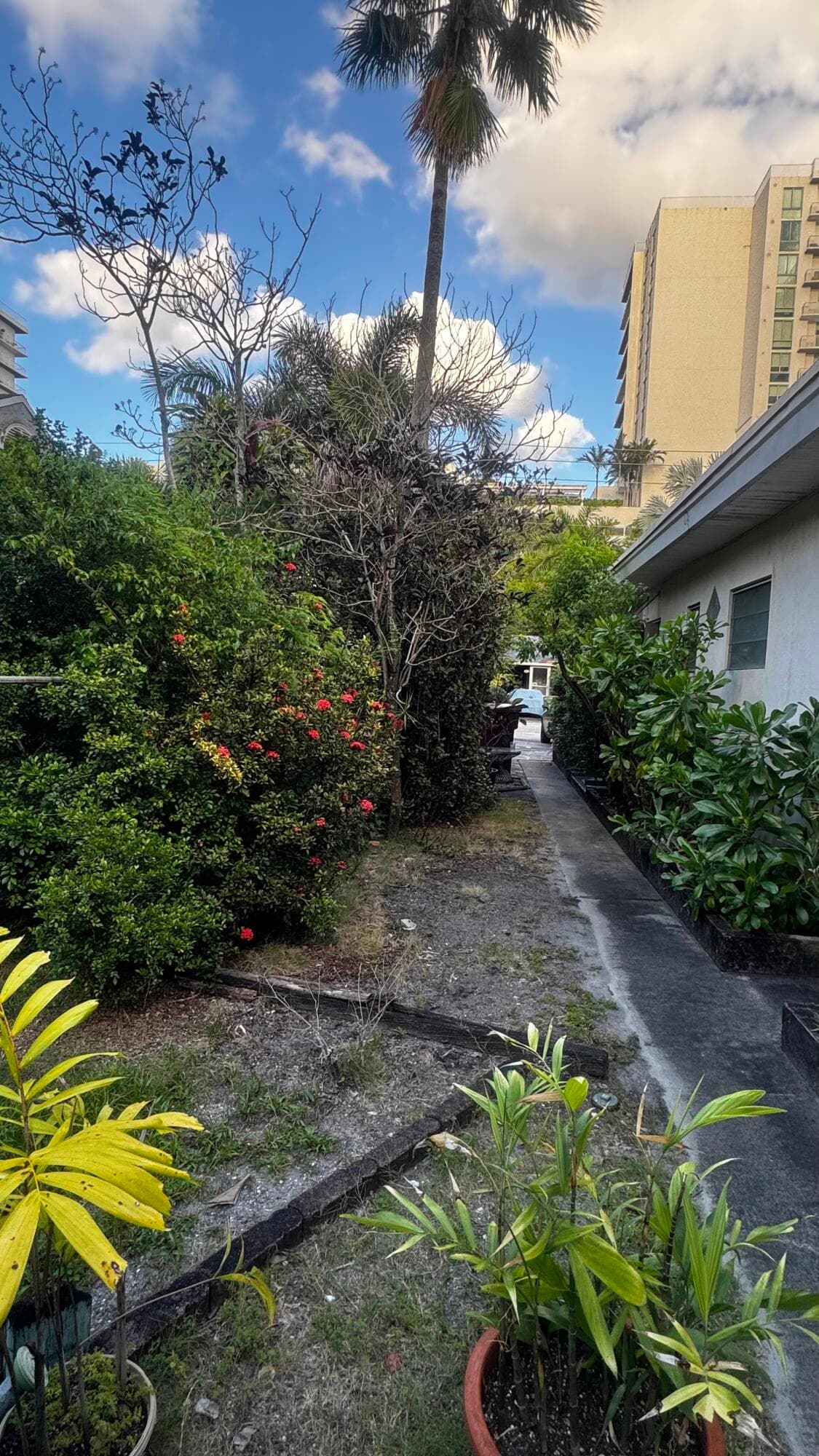717 NE 5th Avenue 2, Fort Lauderdale, FL 33304 — photo 4 of 13