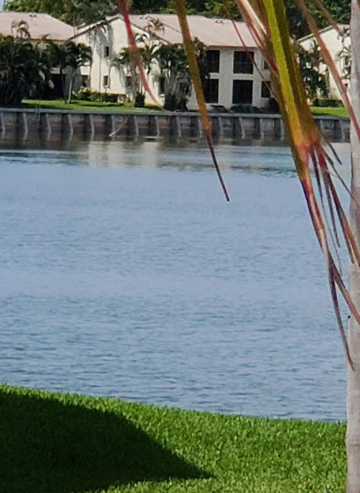 321 Norwood Terrace N224, Boca Raton, FL 33431 — photo 18 of 26