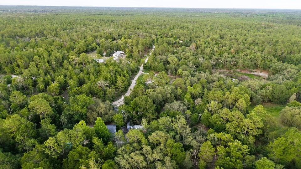 121 Susan Road, Hawthorne, FL 32640 — photo 8 of 20