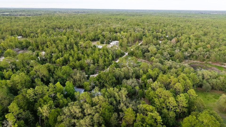 121 Susan Road, Hawthorne, FL 32640 — photo 9 of 20