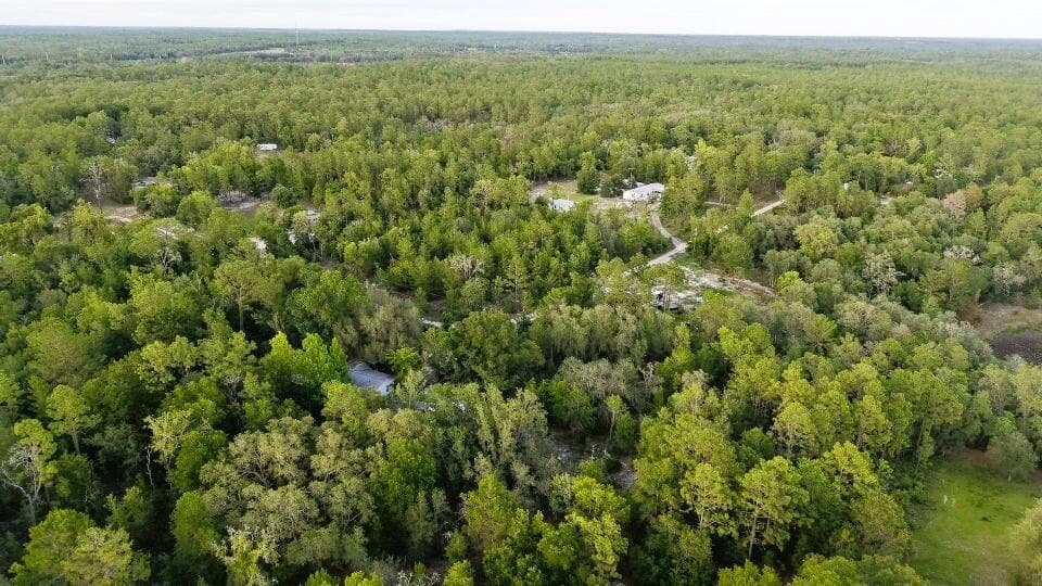 121 Susan Road, Hawthorne, FL 32640 — photo 10 of 20