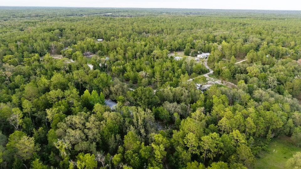 121 Susan Road, Hawthorne, FL 32640 — photo 11 of 20