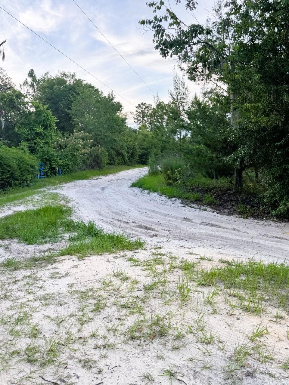 121 Susan Road, Hawthorne, FL 32640 — photo 19 of 20