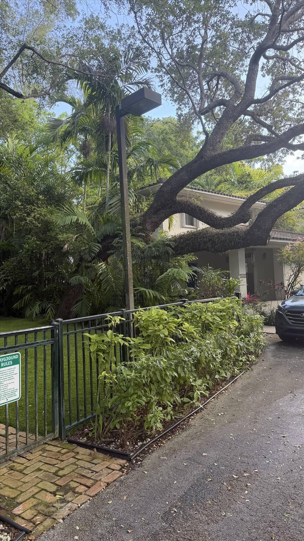 3611 SW 37th Avenue 19, Coconut Grove, FL 33133 — photo 4 of 24