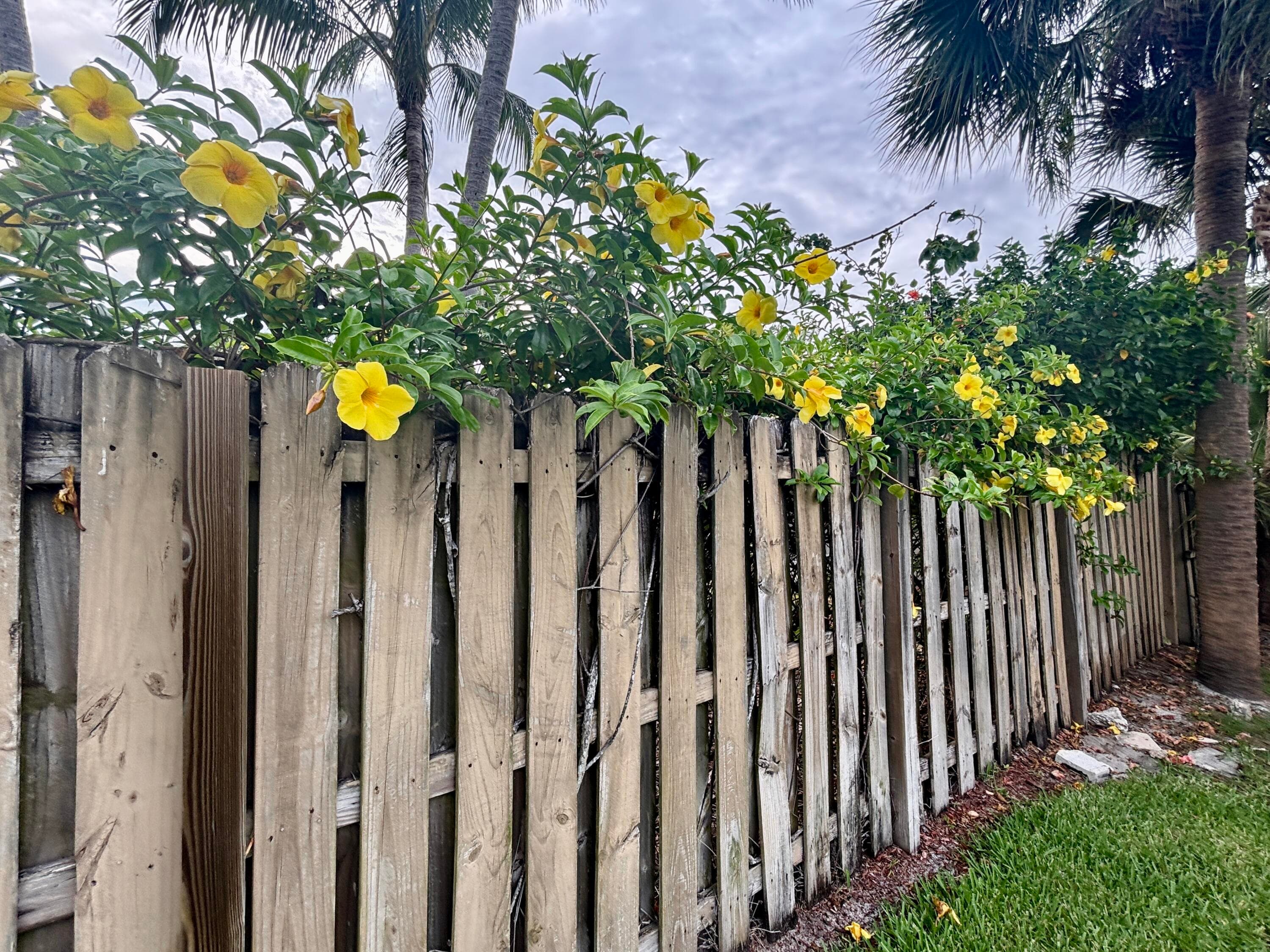 218 Seville Road, West Palm Beach, FL 33405 — photo 15 of 19
