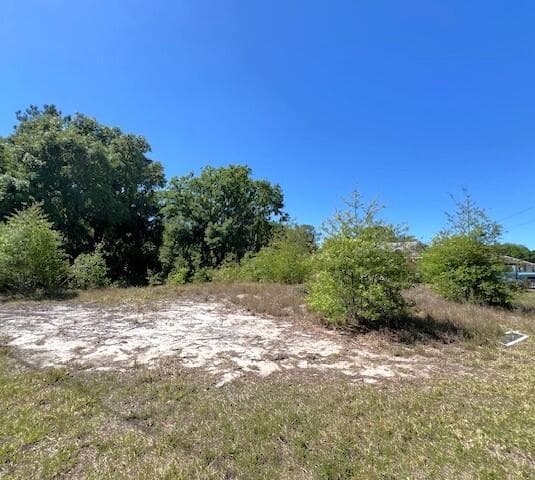 100 Honeycomb Avenue, Lake Placid, FL 33852 — photo 3 of 3