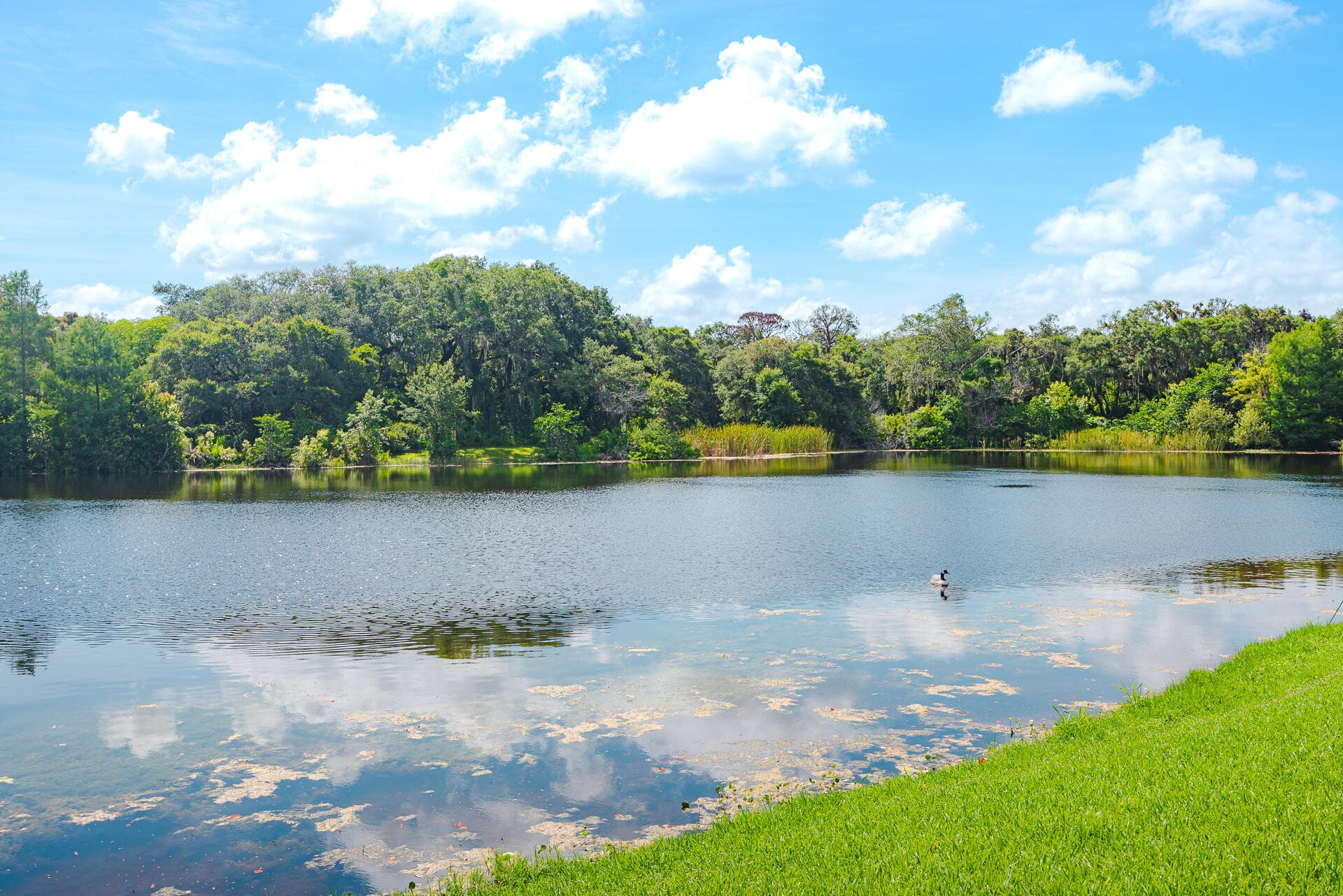 3302 Ridge Trace, Davie, FL 33328 — photo 3 of 41