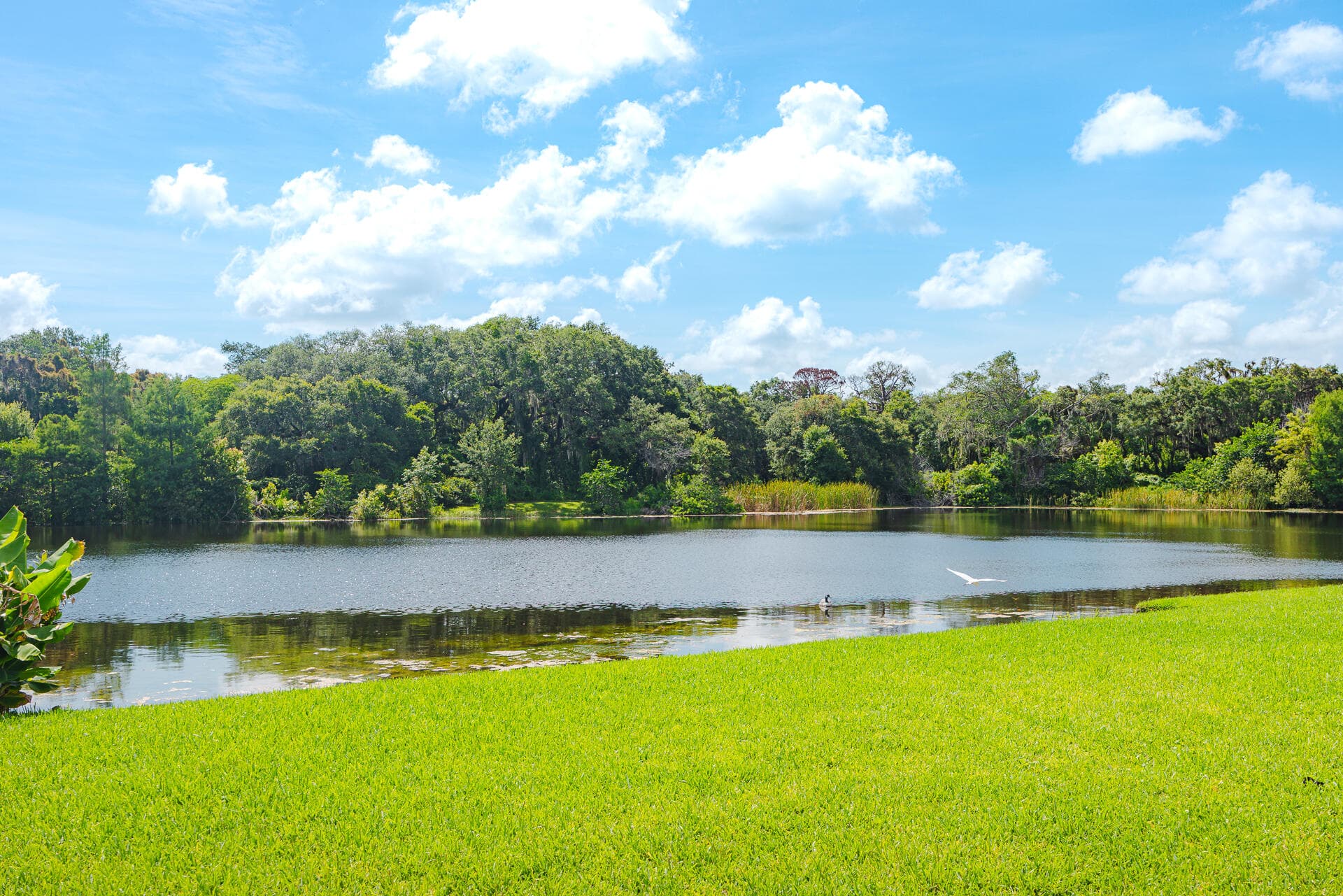 3302 Ridge Trace, Davie, FL 33328 — photo 27 of 41