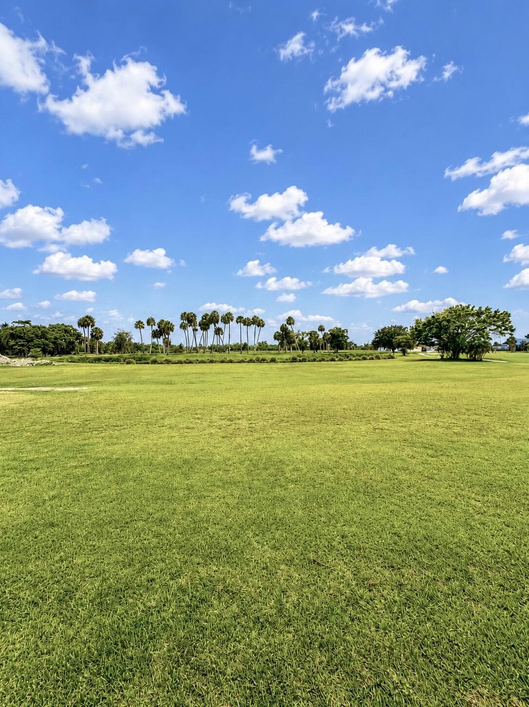 14130 SE 126th Boulevard, Okeechobee, FL 34974 — photo 14 of 20
