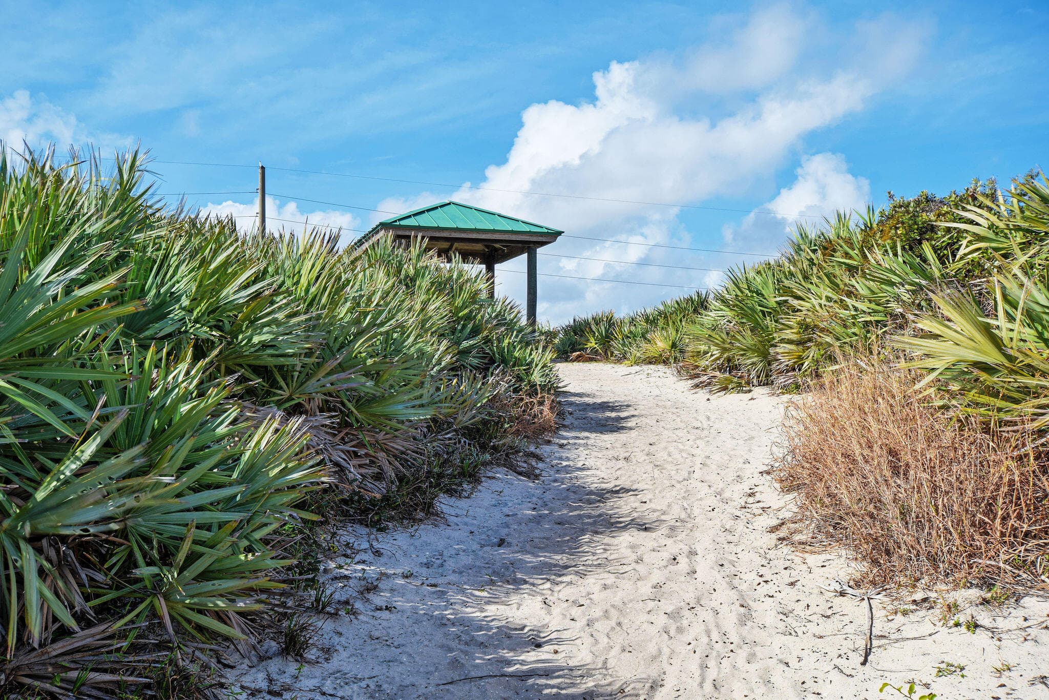 900 Juno Ocean Walk 2, Juno Beach, FL 33408 — photo 47 of 48