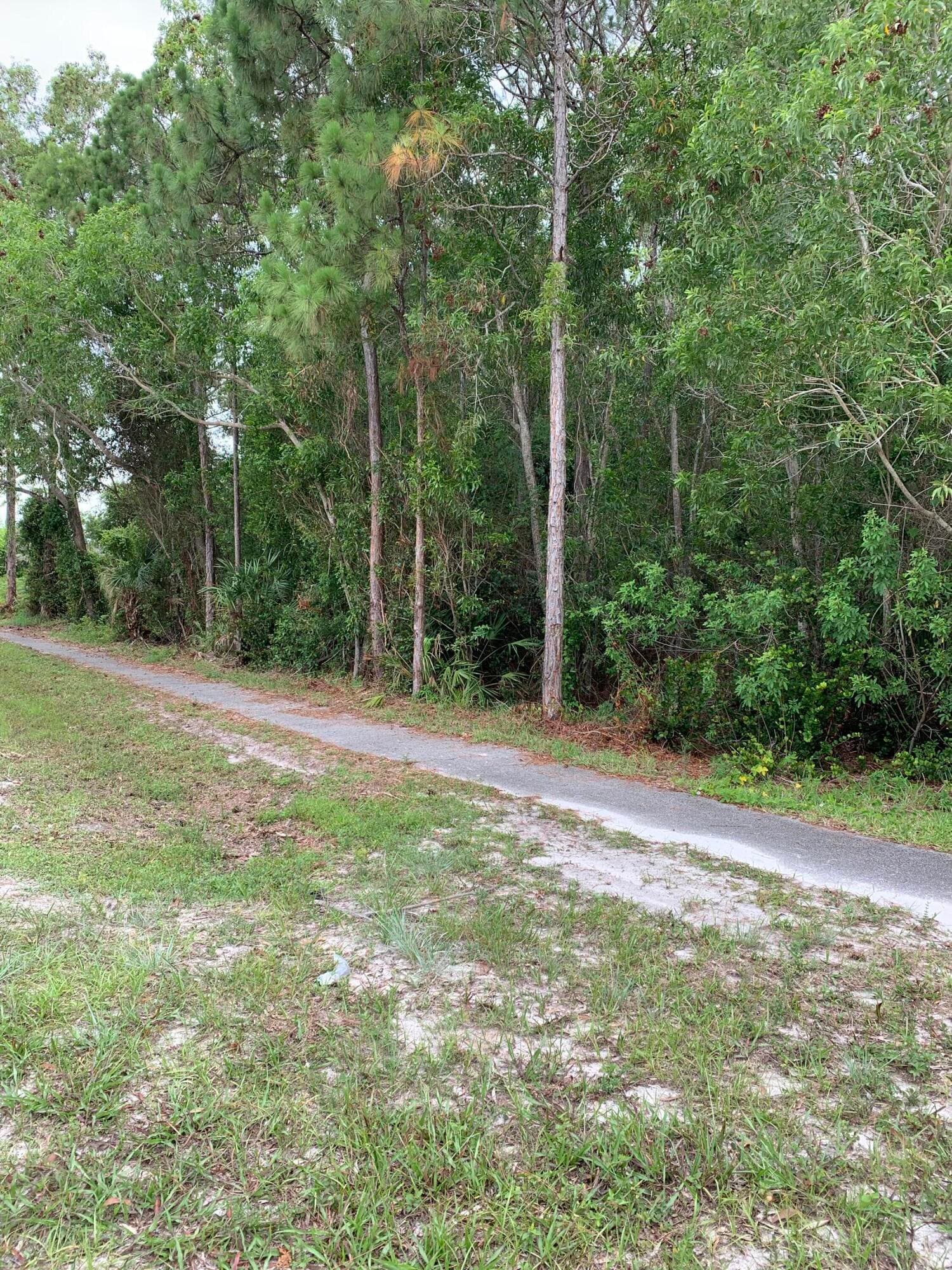 Xx Lot 3780 Mandarin/ 47 Th Court N, The Acreage, FL 33470 — photo 5 of 8