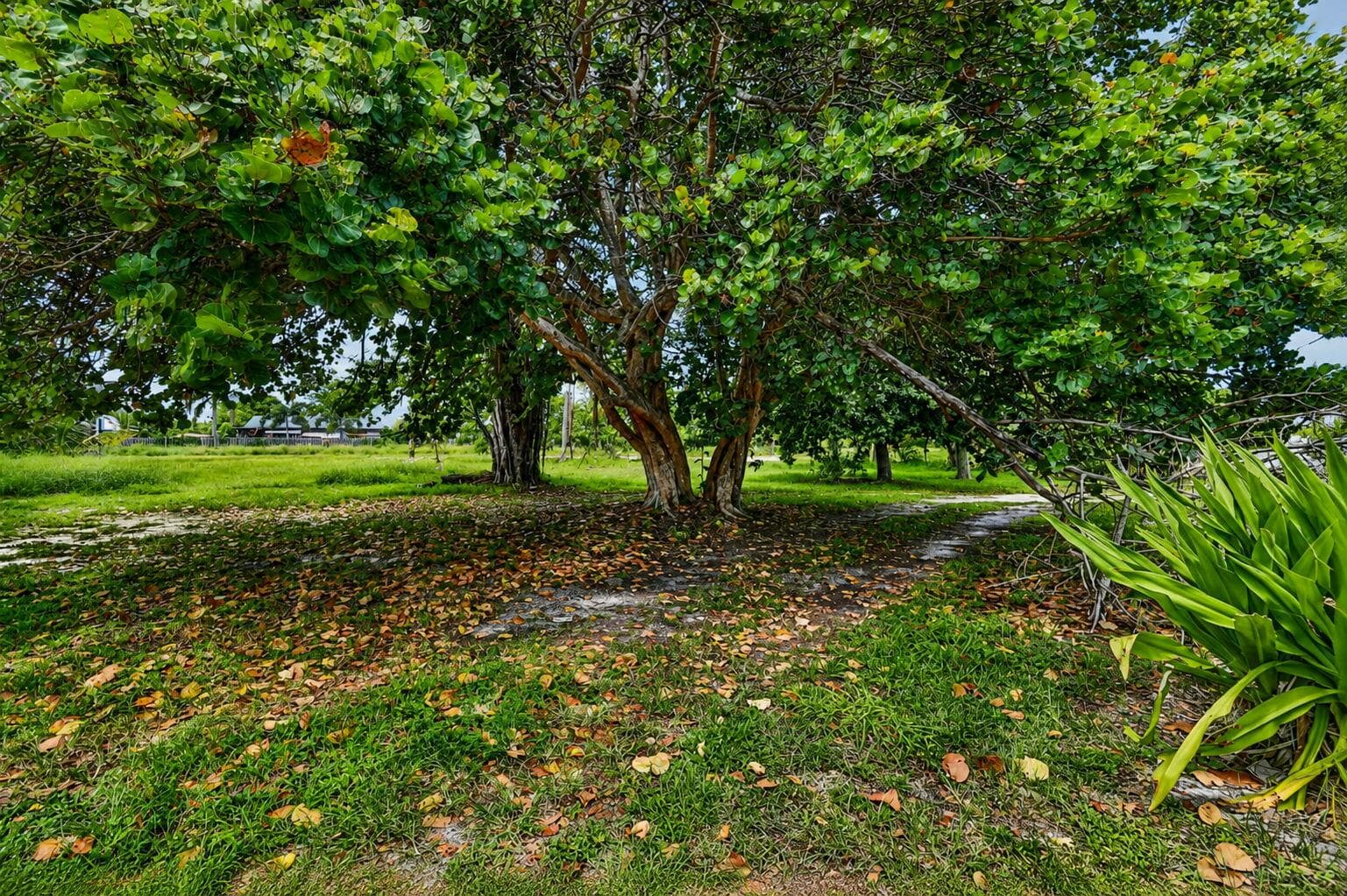 4537 Coconut Road, Lake Worth, FL 33461 — photo 43 of 56