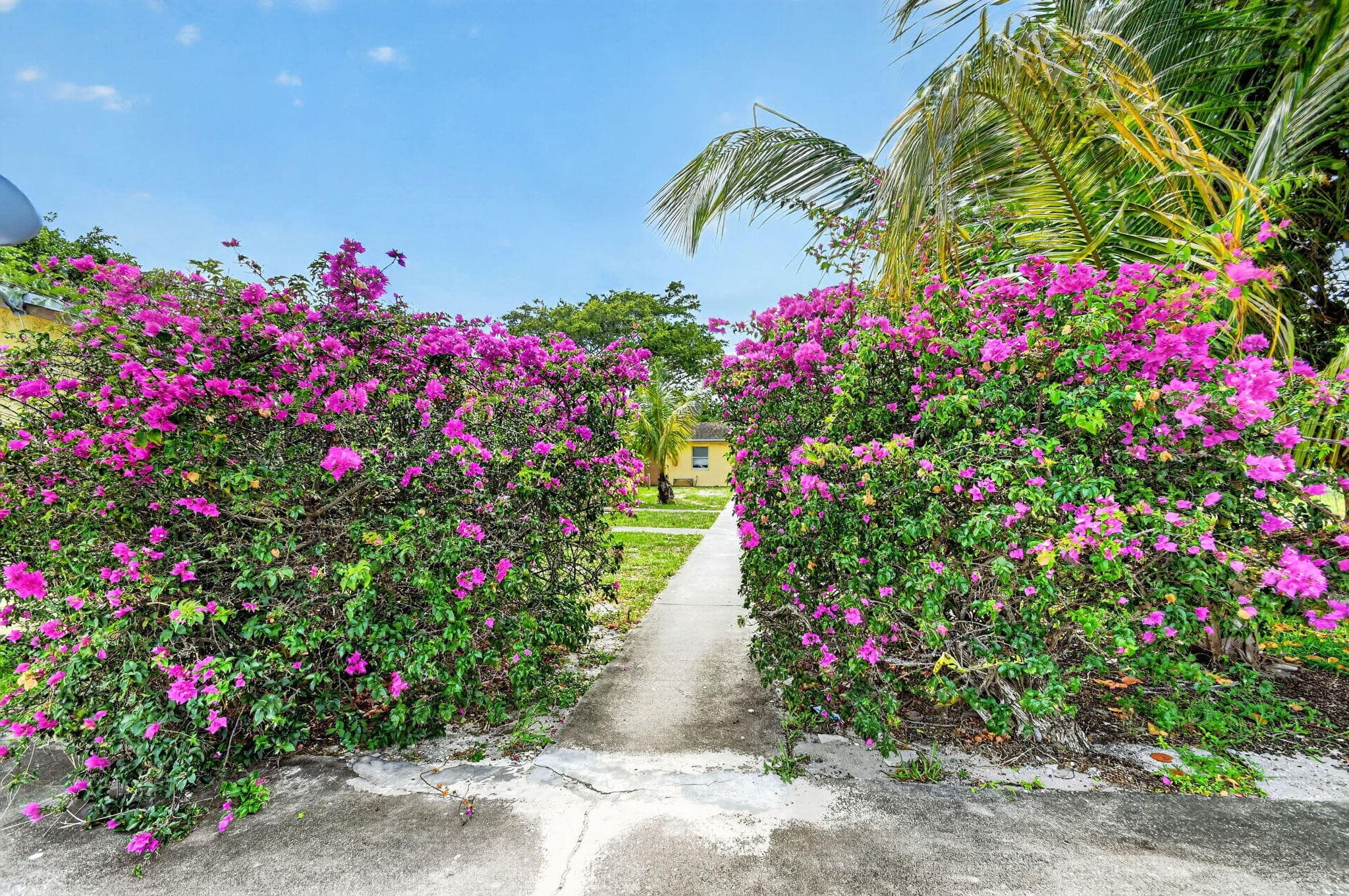 4537 Coconut Road, Lake Worth, FL 33461 — photo 47 of 56