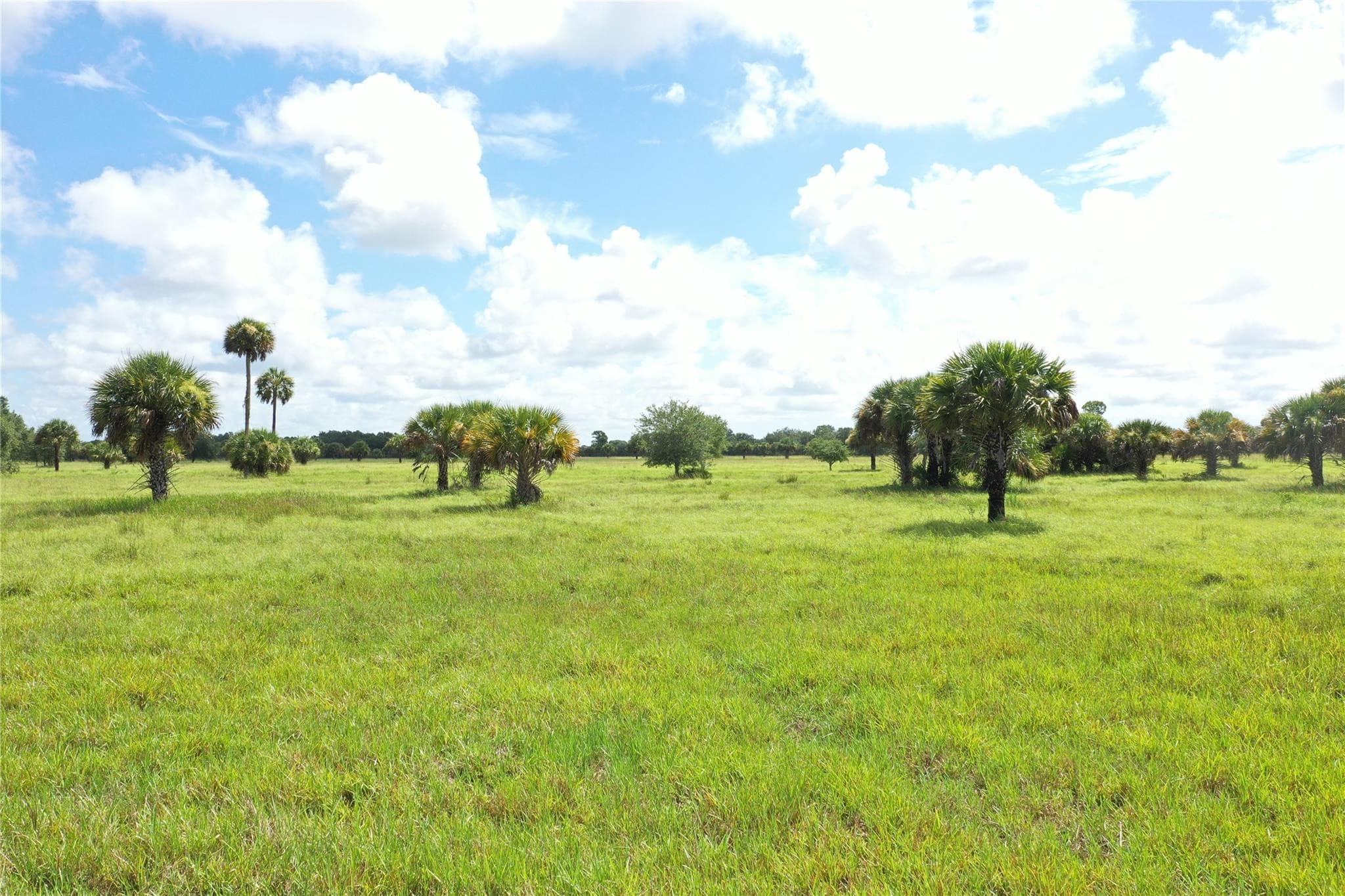 0 Co Rd 832, Clewiston, FL 33440 — photo 14 of 40