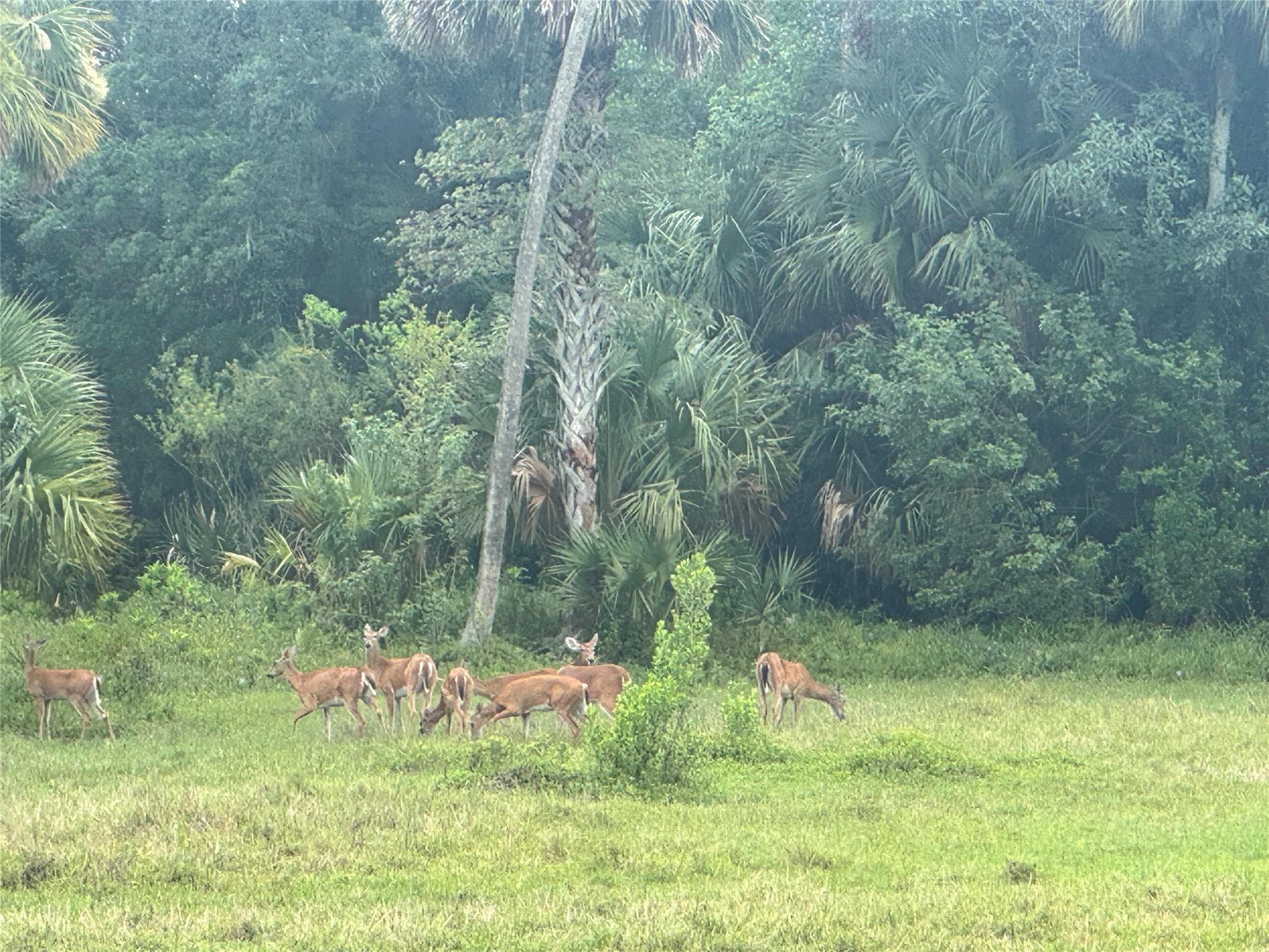 0 Co Rd 832, Clewiston, FL 33440 — photo 6 of 40