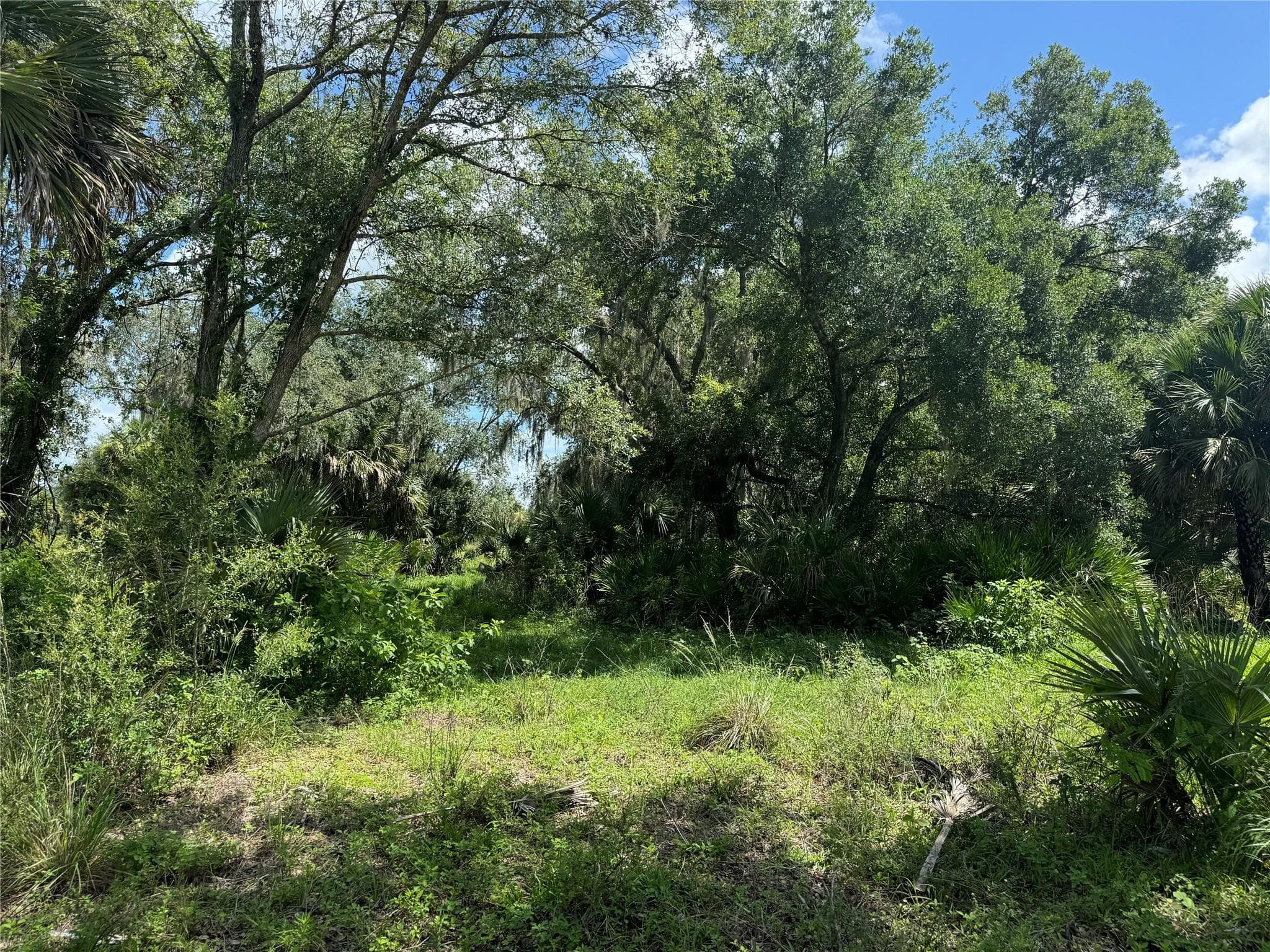 0 Co Rd 832, Clewiston, FL 33440 — photo 32 of 40