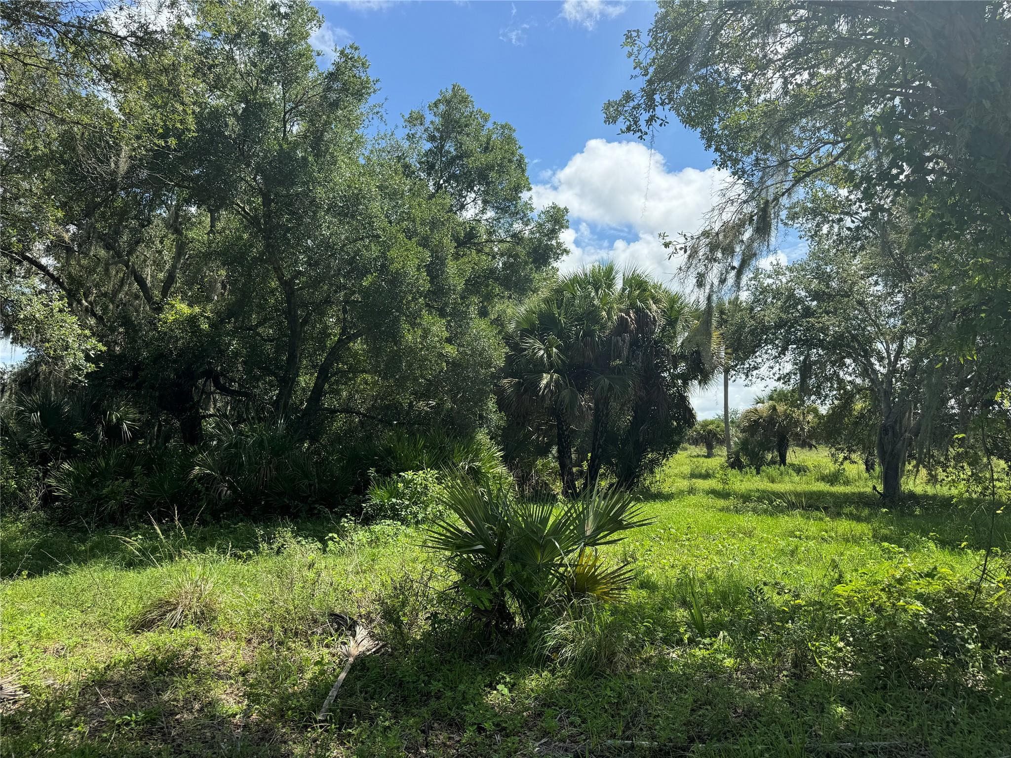 0 Co Rd 832, Clewiston, FL 33440 — photo 34 of 40