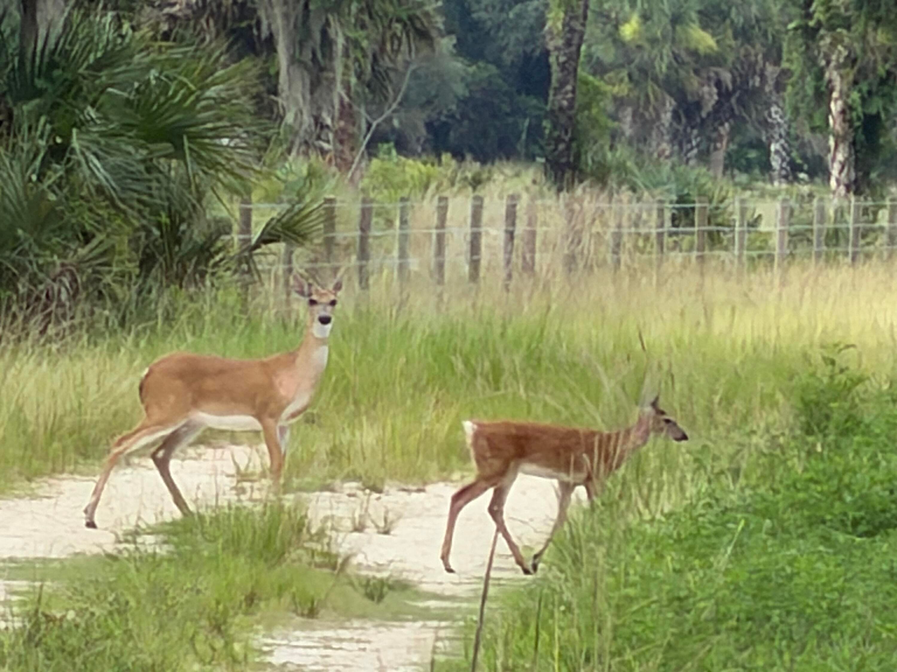 0 Co Rd 832, Clewiston, FL 33440 — photo