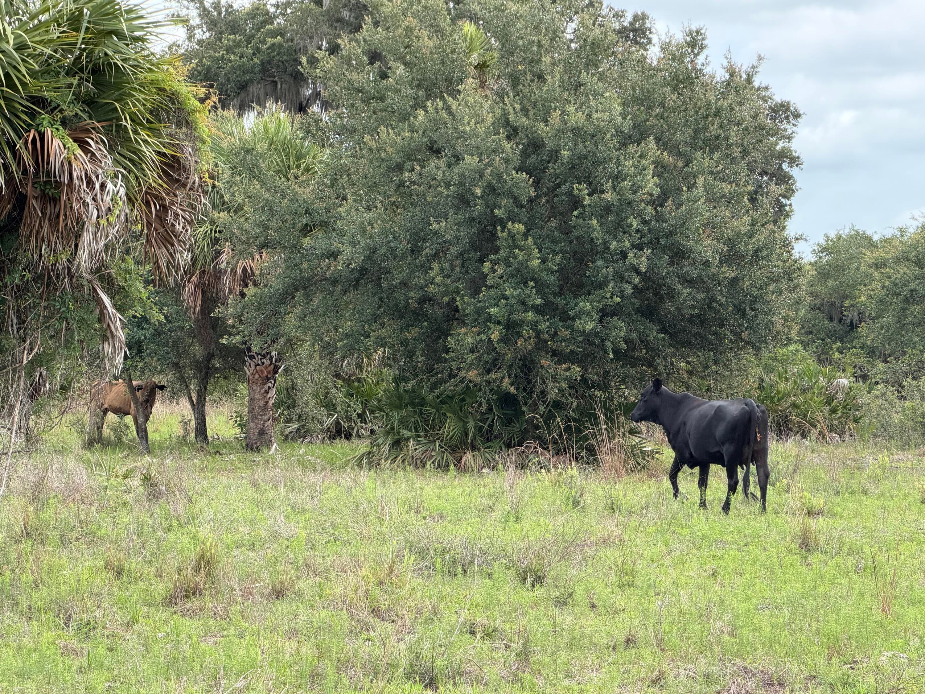 0 Co Rd 832, Clewiston, FL 33440 — photo 39 of 40