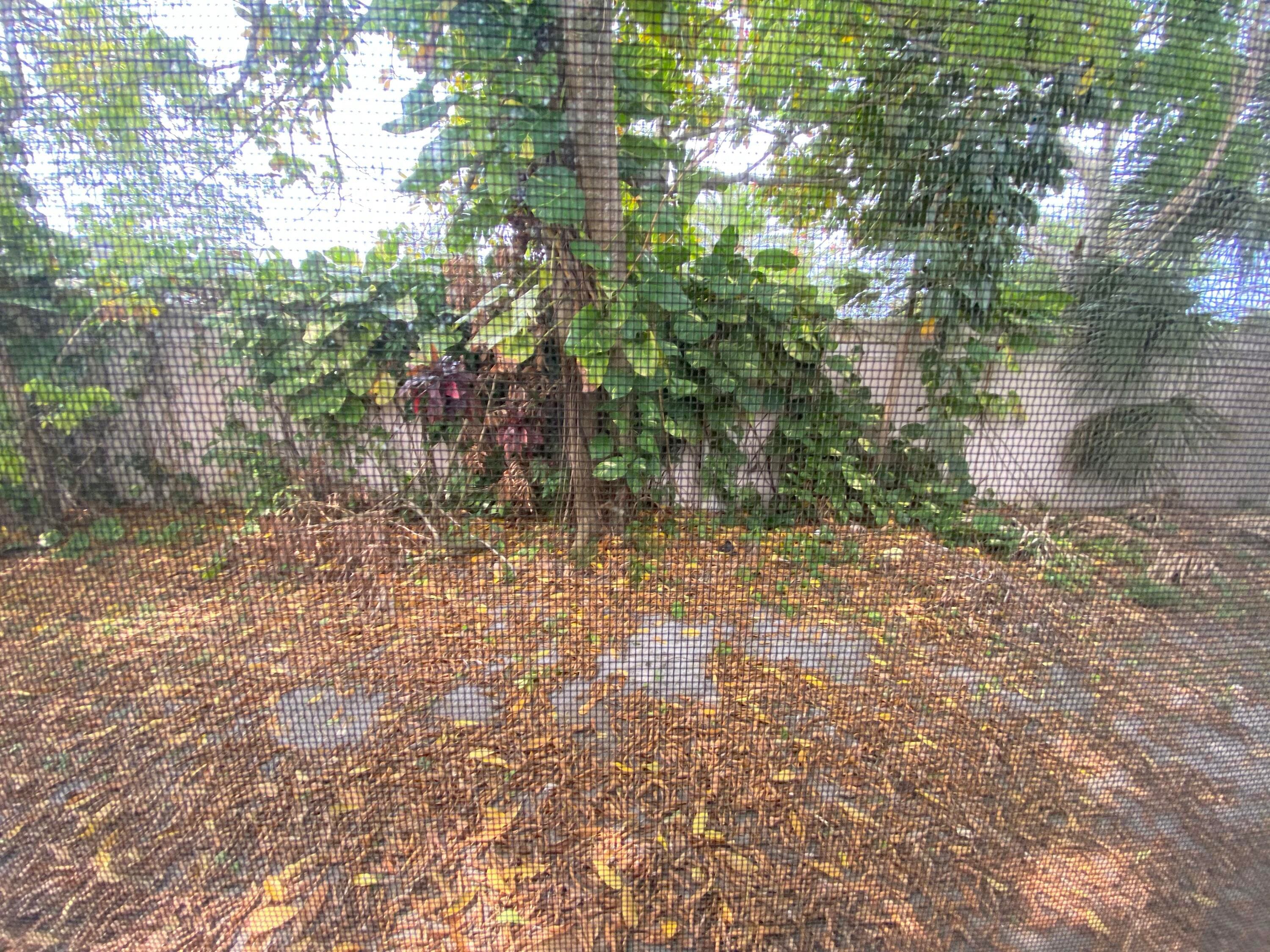 5139 NW 43rd Court, Lauderdale Lakes, FL 33319 — photo 12 of 19