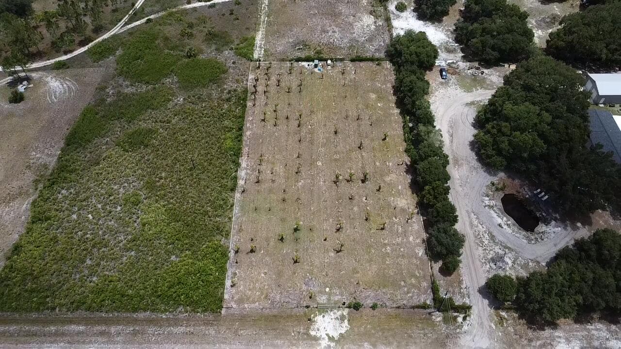 18282 NW 306th Street, Okeechobee, FL 34972 — photo 2 of 7