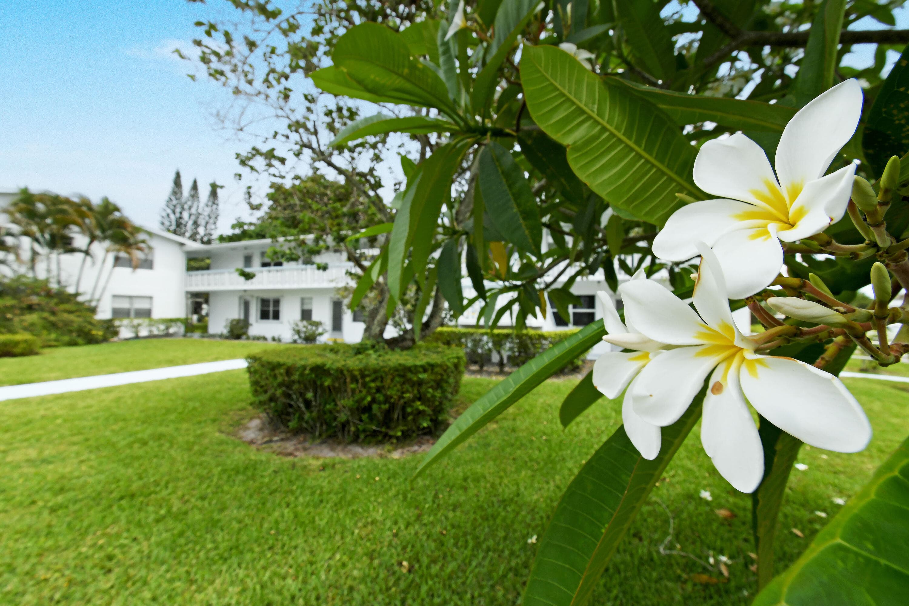 238 Sussex L, West Palm Beach, FL 33417 — photo 31 of 45