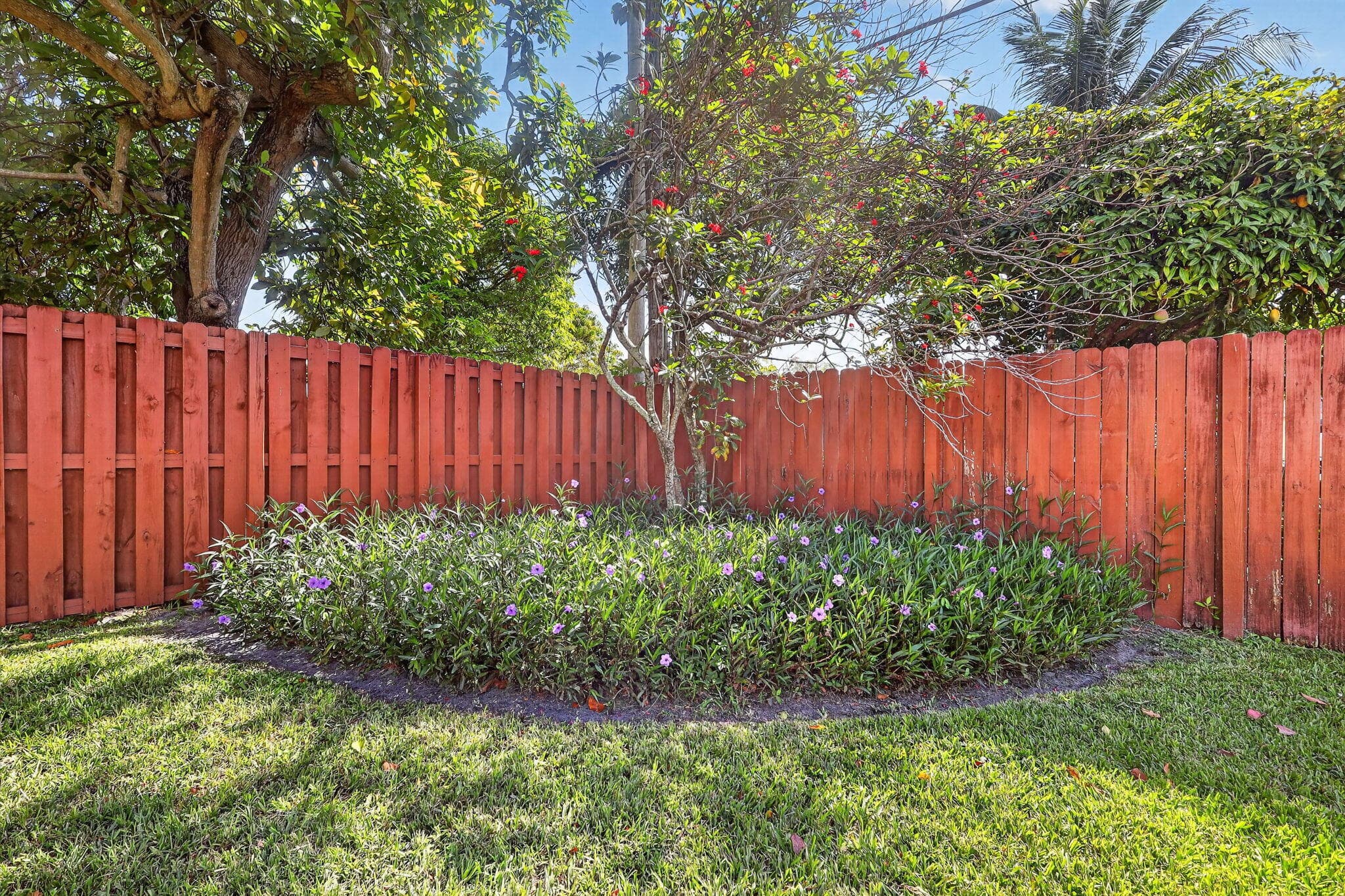 241 N 68th Terrace, Hollywood, FL 33024 — photo 34 of 36