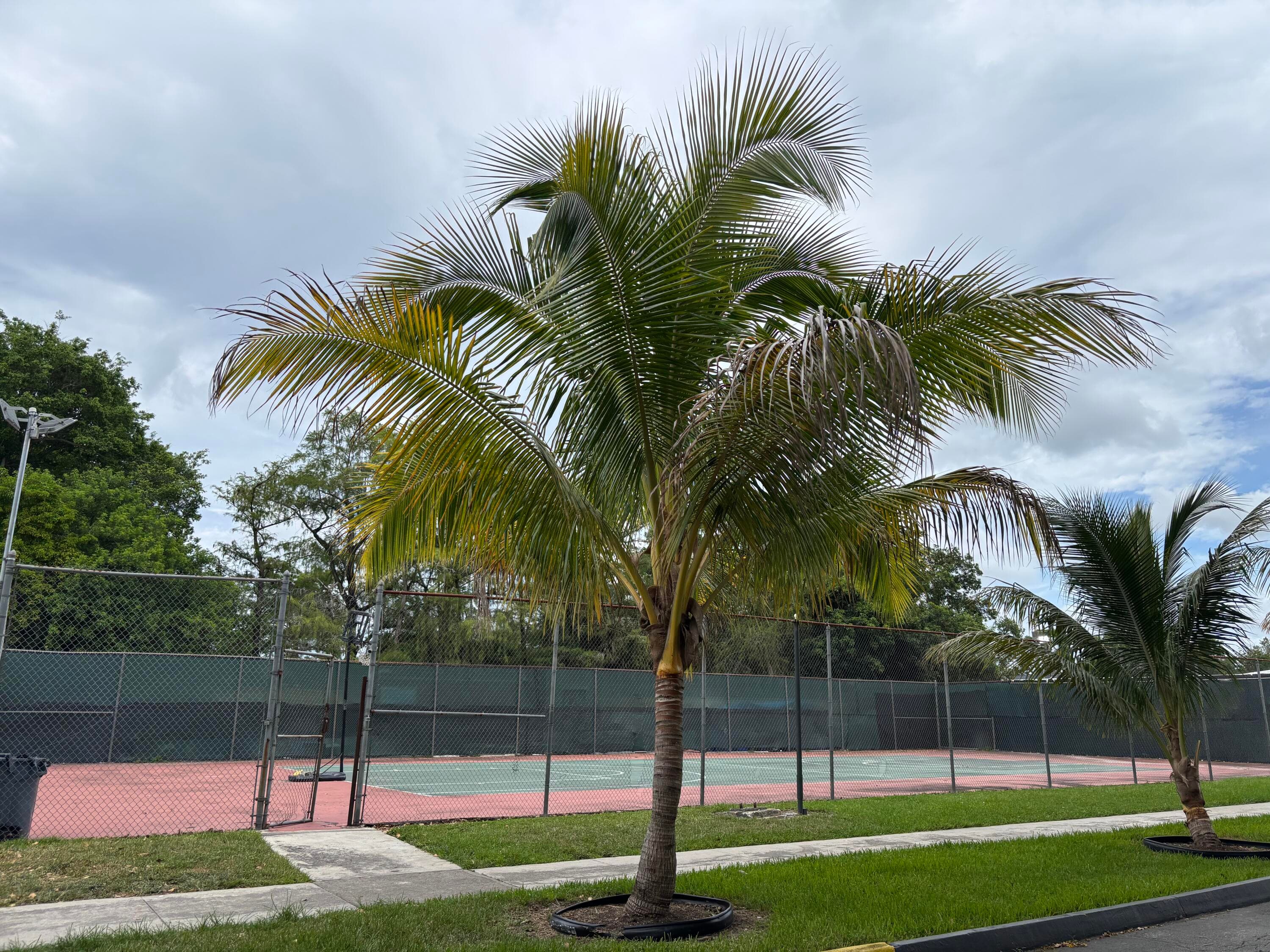 8051 S Colony Circle 107, Tamarac, FL 33321 — photo 17 of 24