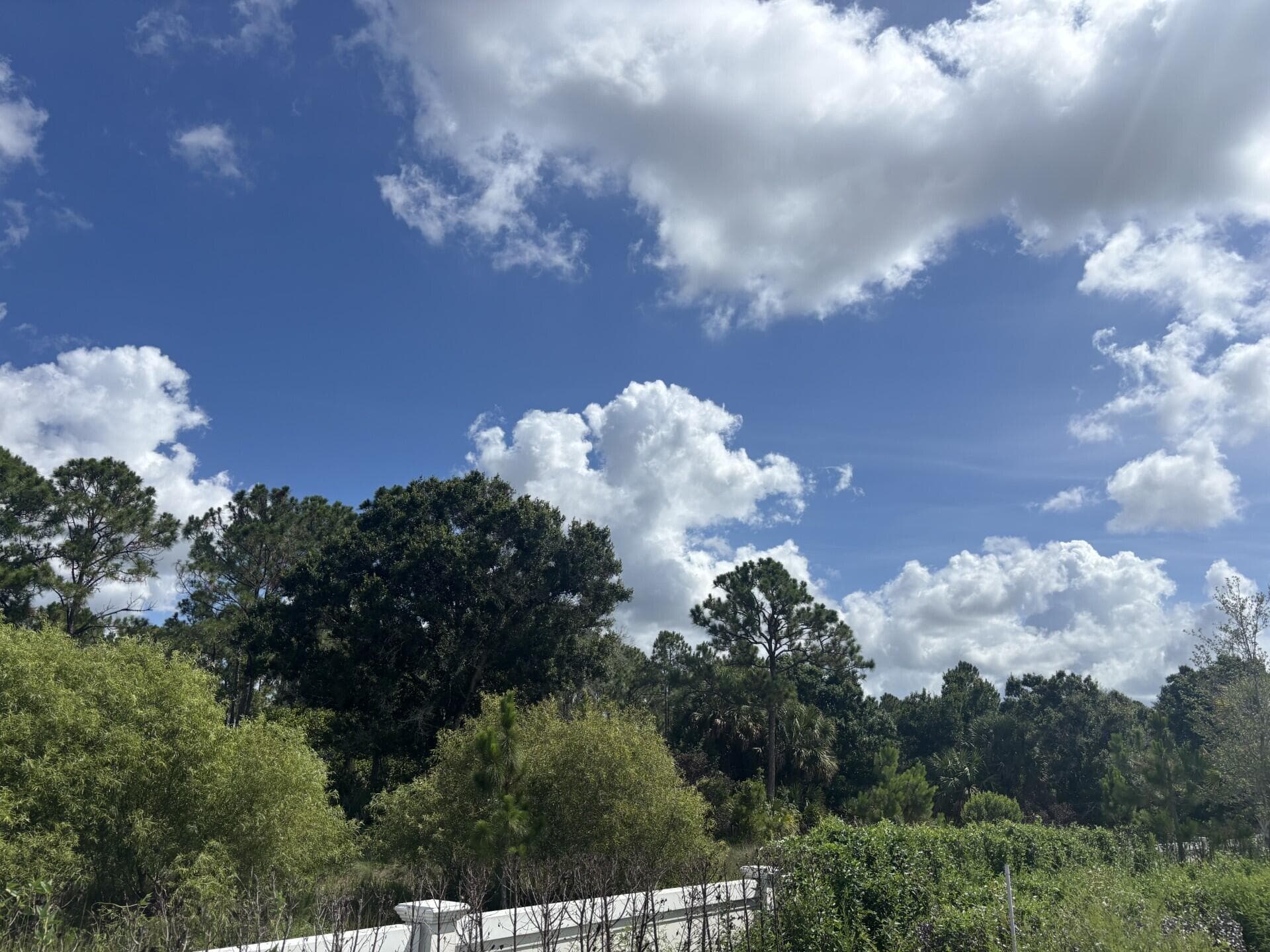 13101 Monte Rosa Court, Palm Beach Gardens, FL 33412 — photo 4 of 5