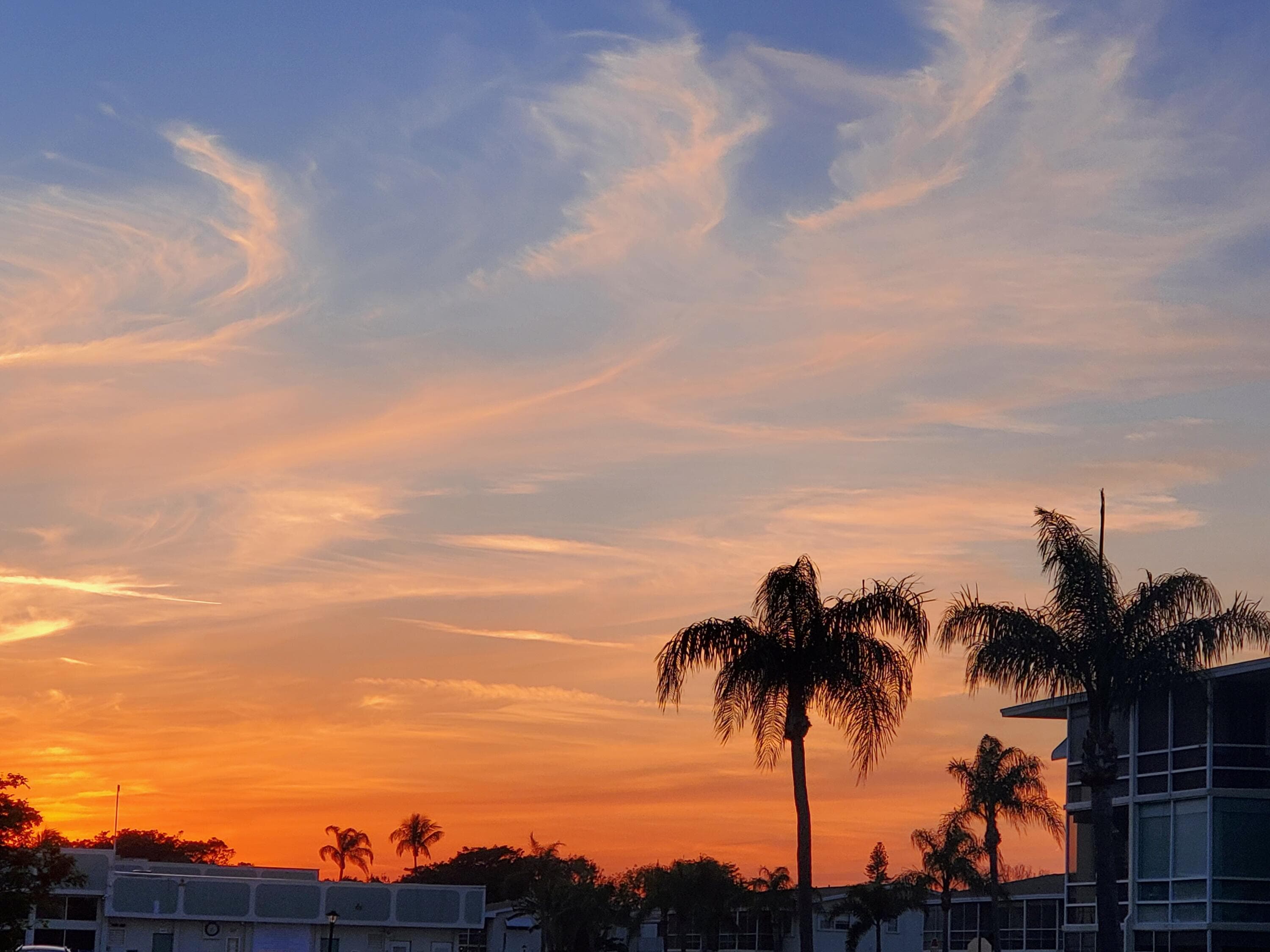 320 W Horizons W W 210, Boynton Beach, FL 33435 — photo 17 of 39