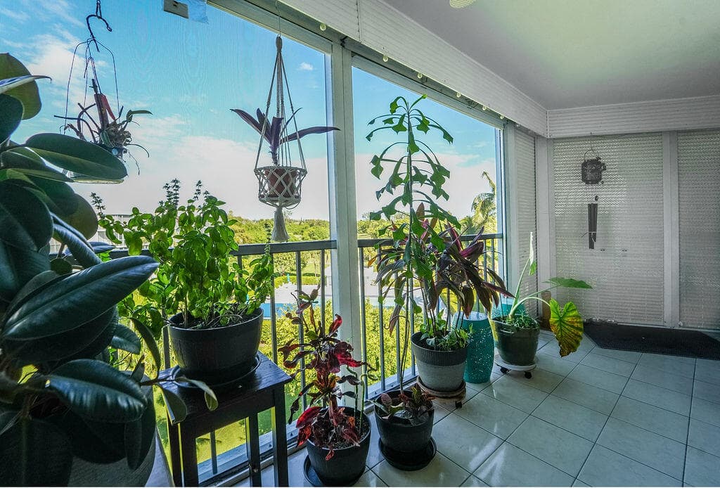 6500 NW 2nd Avenue 509, Boca Raton, FL 33487 — photo 9 of 47