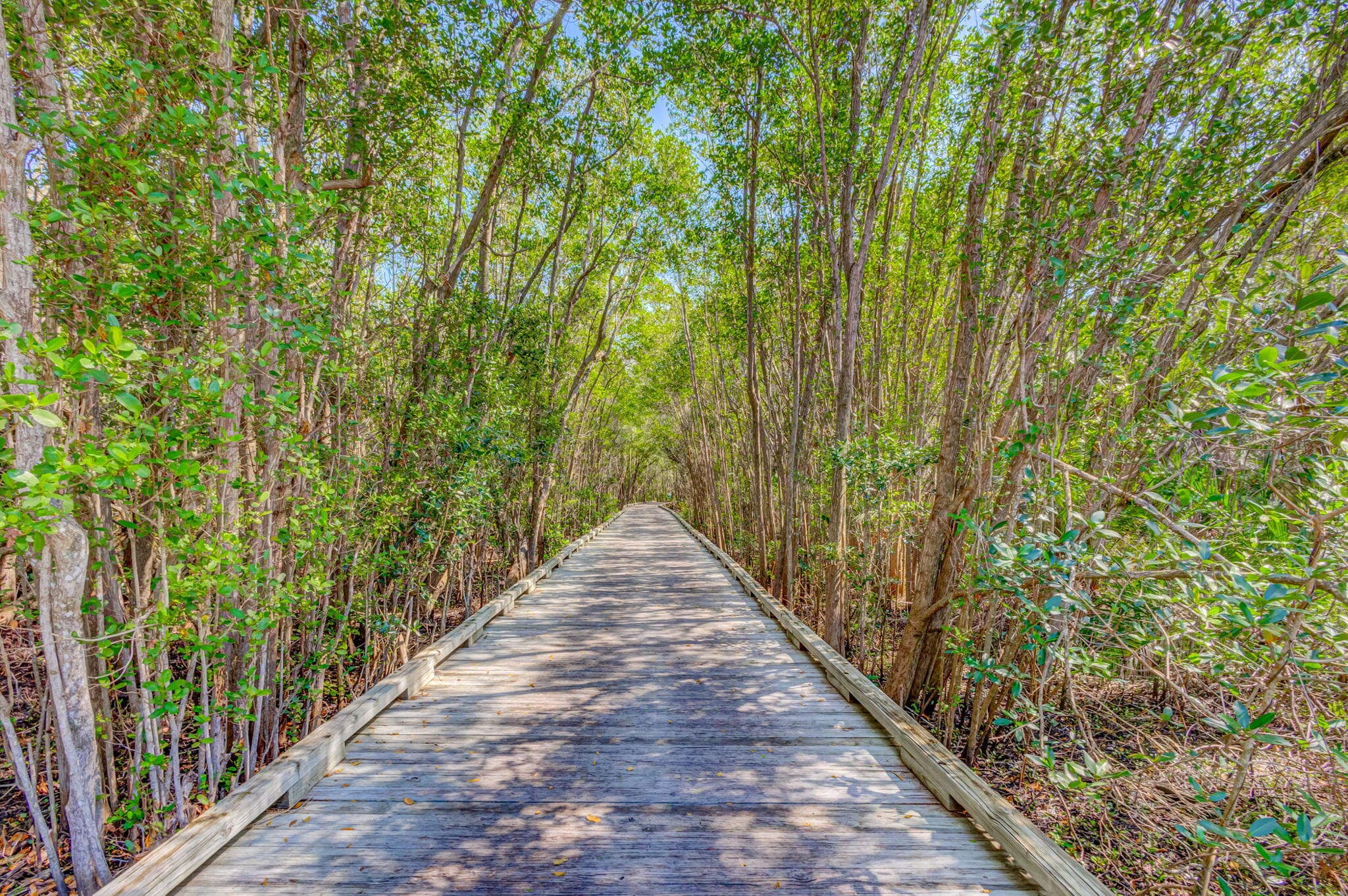 9954 SE Osprey Pointe Drive SE, Hobe Sound, FL 33455 — photo 50 of 68
