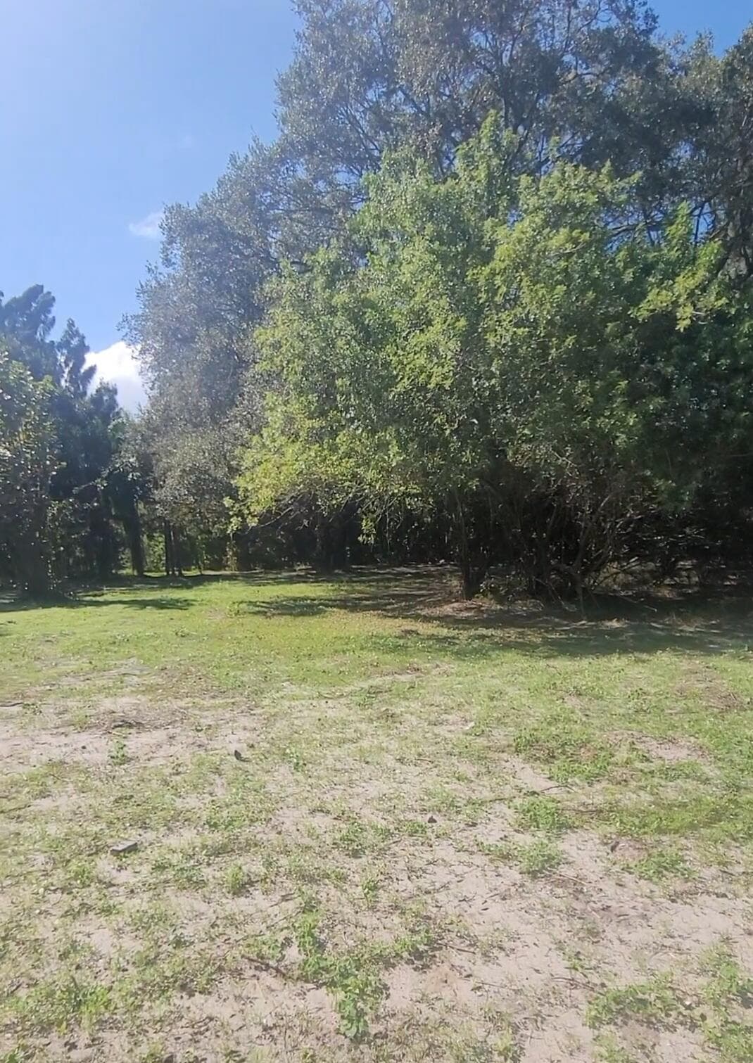 8511 64th Court, Vero Beach, FL 32967 — photo 3 of 6