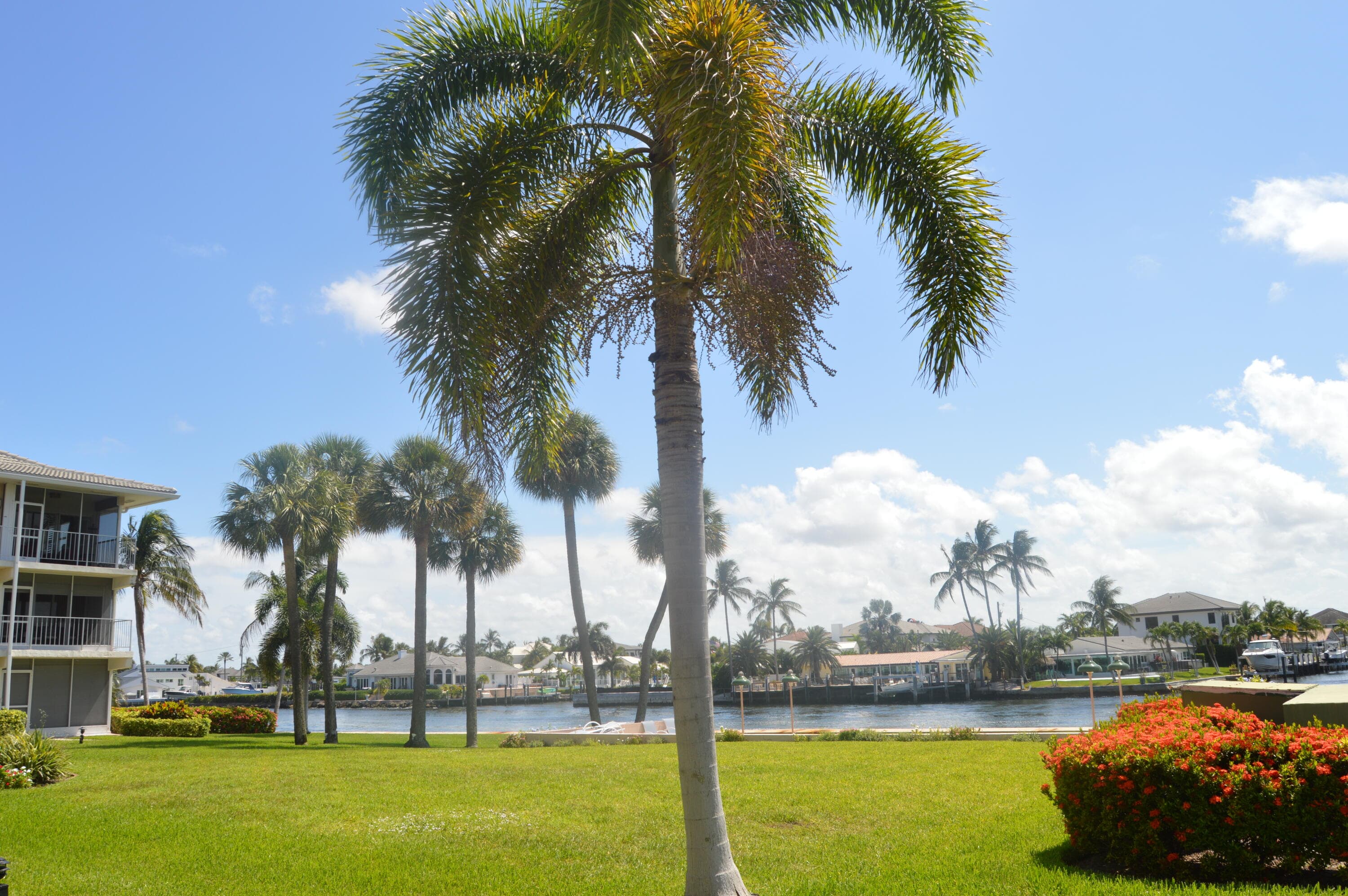 745 SE 19th Avenue 114, Deerfield Beach, FL 33441 — photo 32 of 41