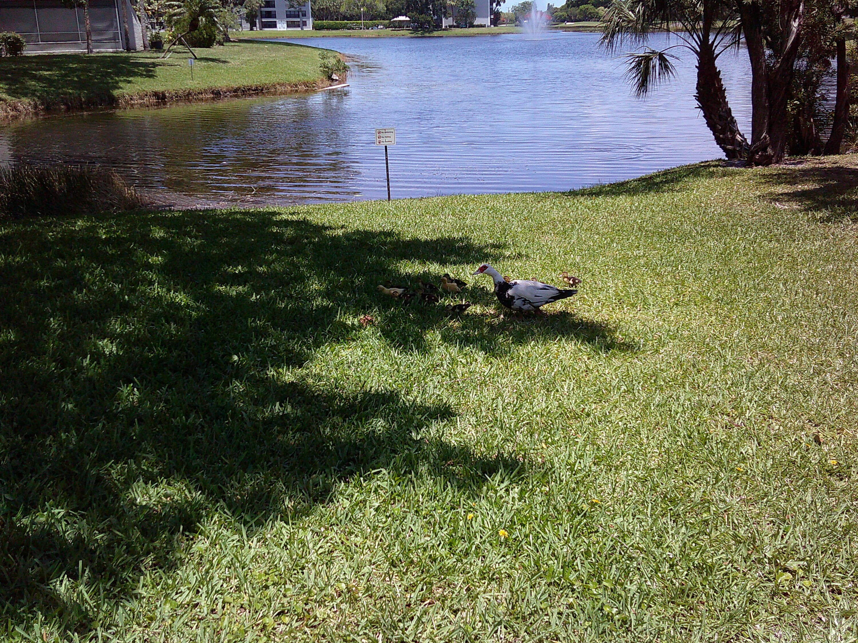 9420 Poinciana Place 409, Davie, FL 33324 — photo 8 of 73