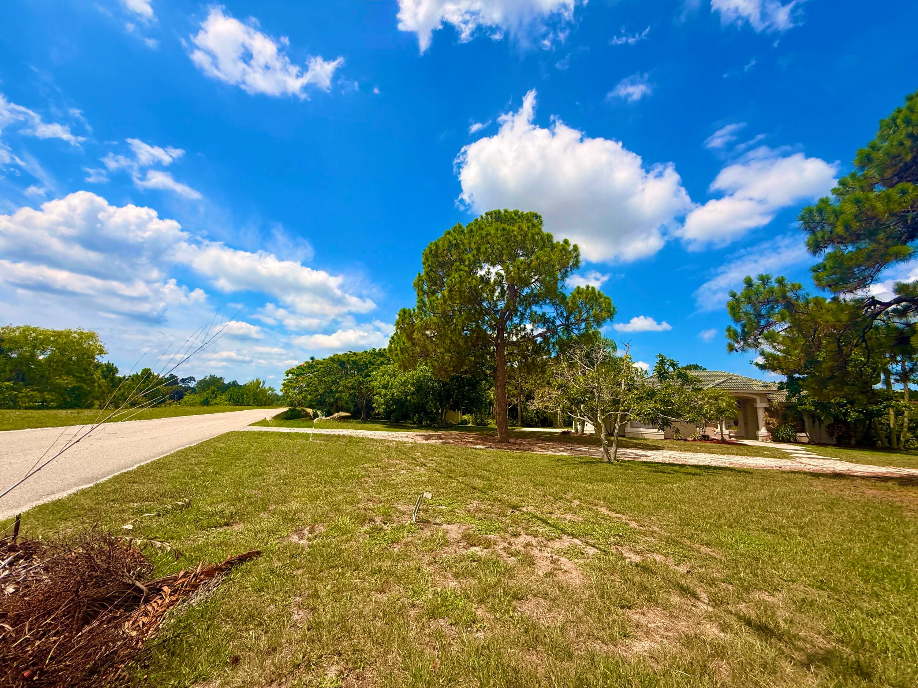 12037 Temple Boulevard, The Acreage, FL 33412 — photo 36 of 90