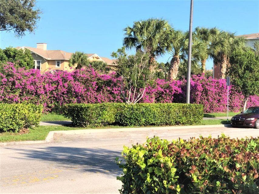810 Marina Del Ray Lane 5, West Palm Beach, FL 33401 — photo 37 of 38