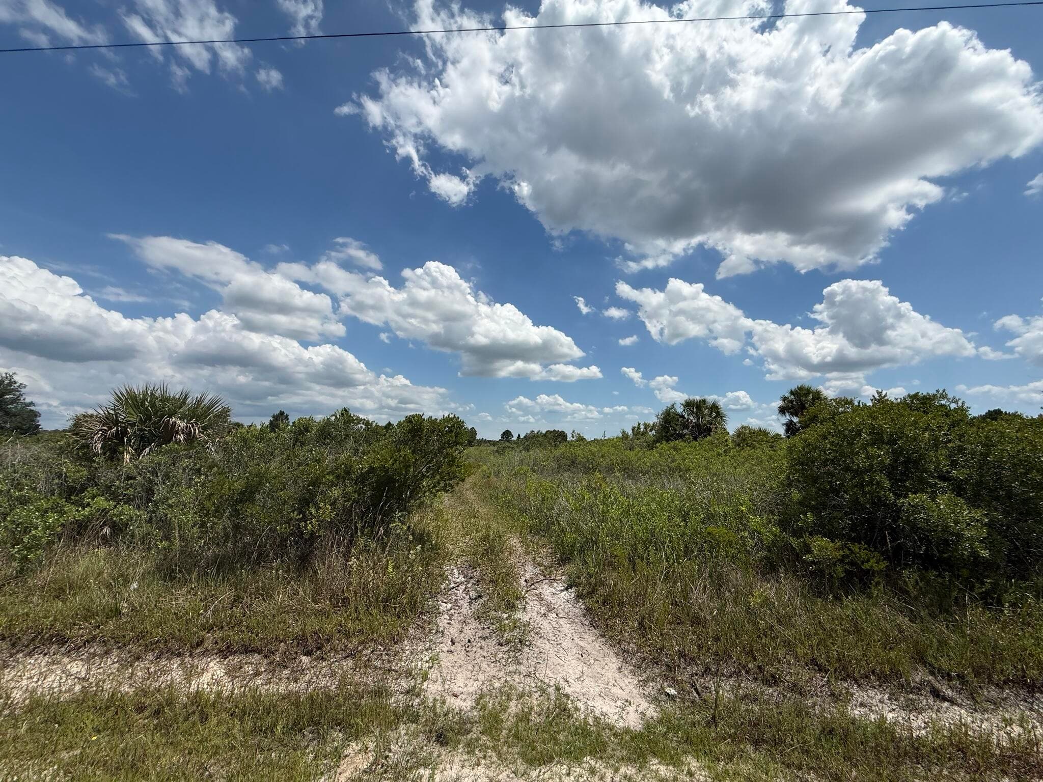 16162 NW 290th Street, Okeechobee, FL 34972 — photo 2 of 16