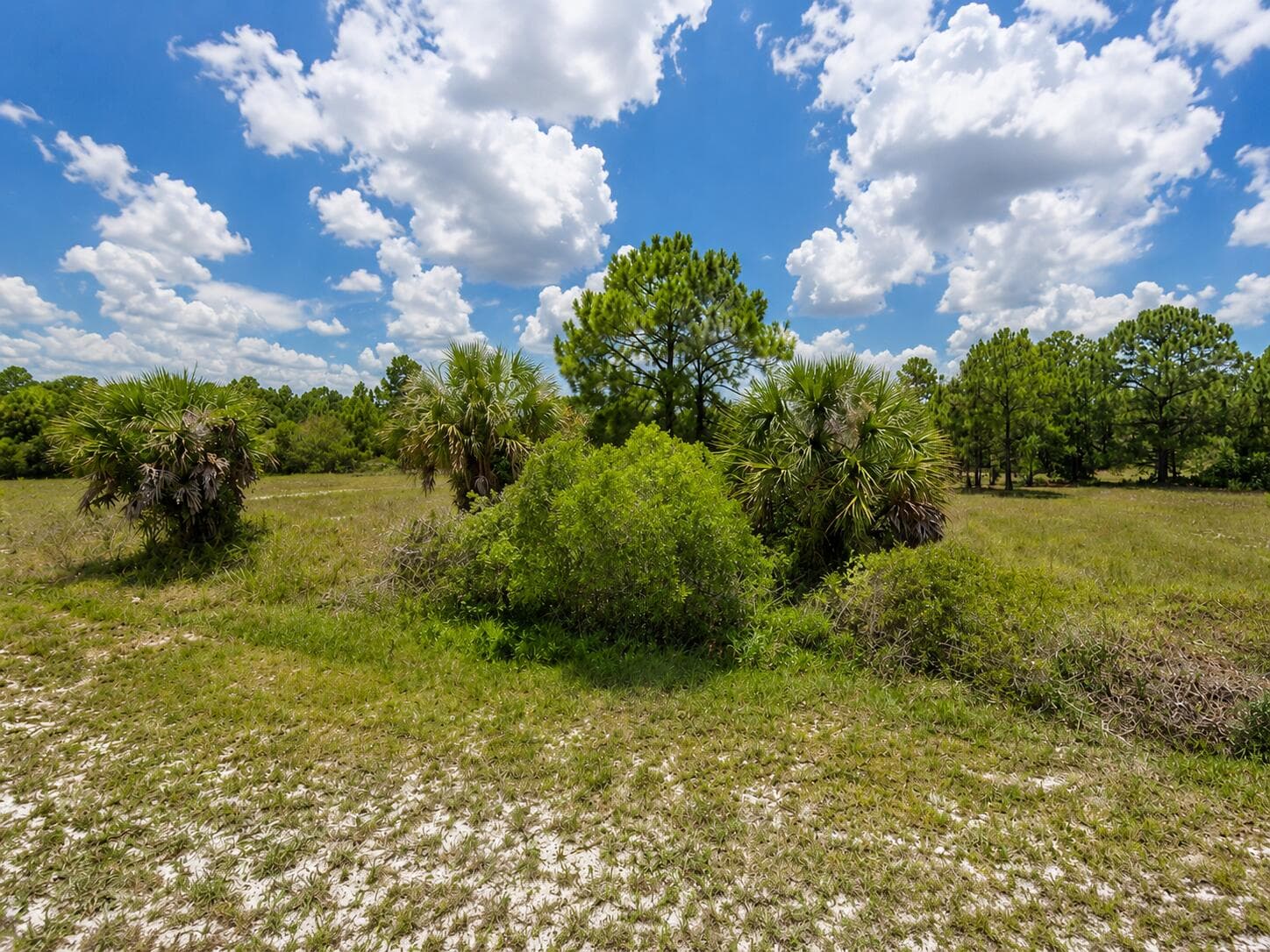 170 S Coral Street, Clewiston, FL 33440 — photo