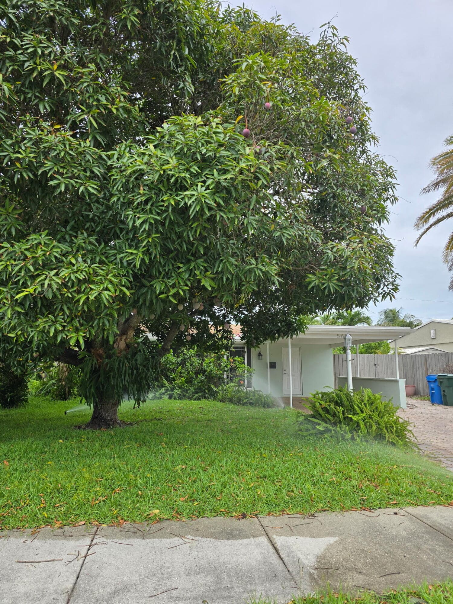 5631 NE 5th Terrace, Oakland Park, FL 33334 — photo 7 of 7