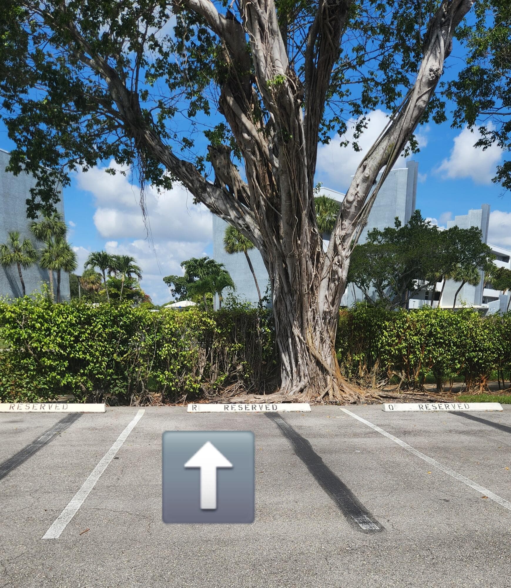 6500 NW 2nd Avenue 311, Boca Raton, FL 33487 — photo 3 of 43