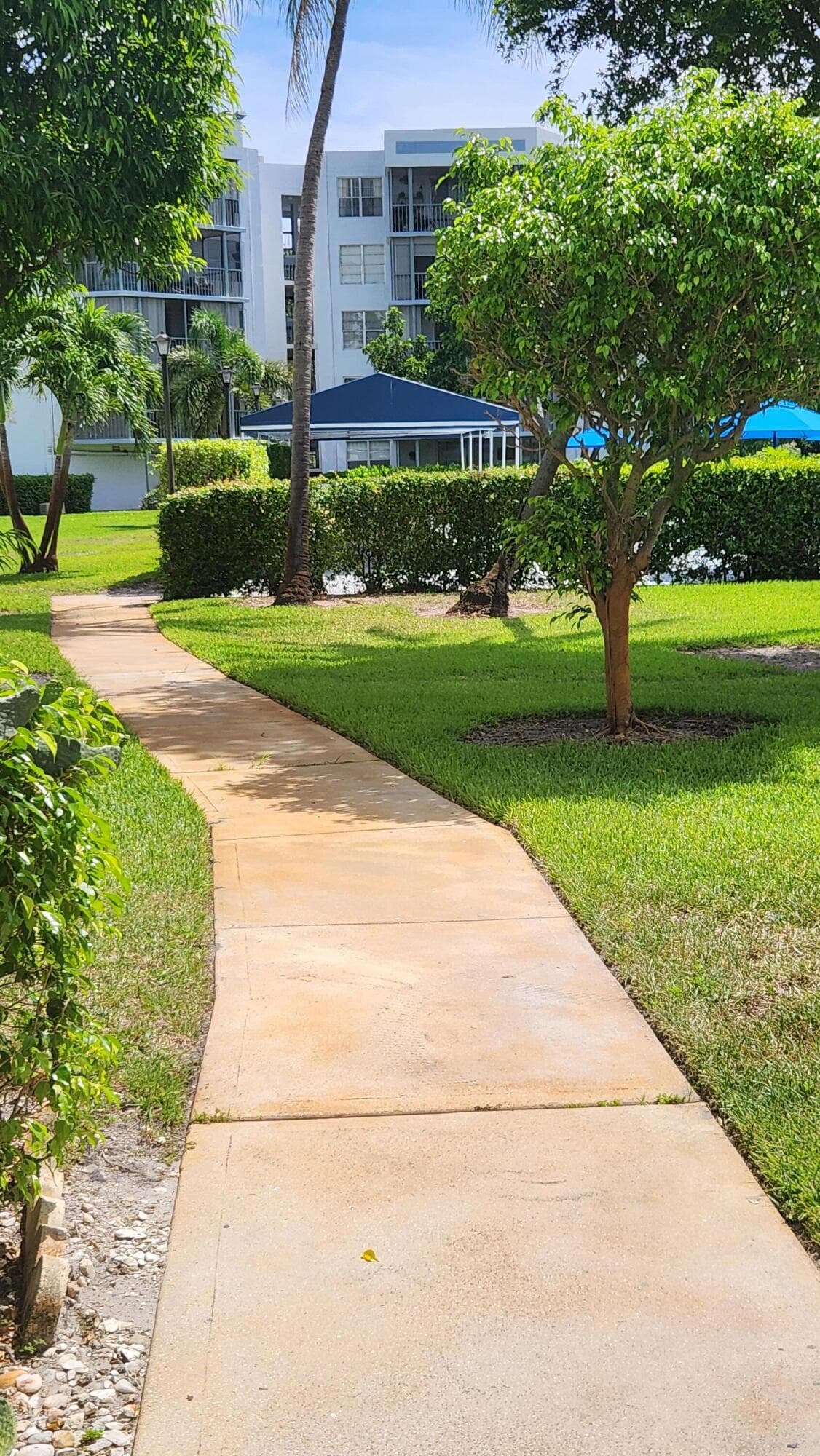 6500 NW 2nd Avenue 311, Boca Raton, FL 33487 — photo 9 of 43
